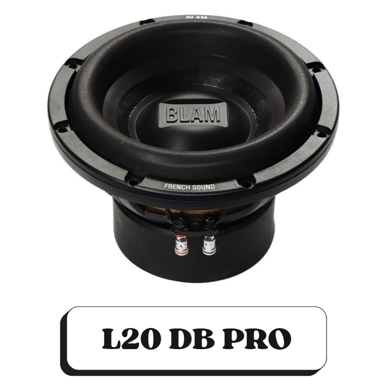 Un haut-parleur de subwoofer, de marque BLAM, modèle L20 DB PRO.