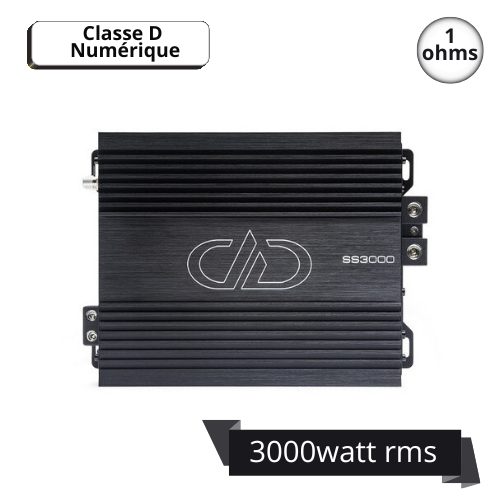 DD audio SS3000