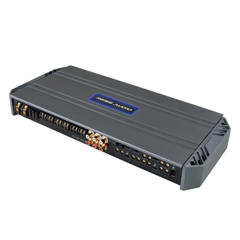 reiss-rs-ae12006d-6x-200-wrms-2-ohm (5).jpg