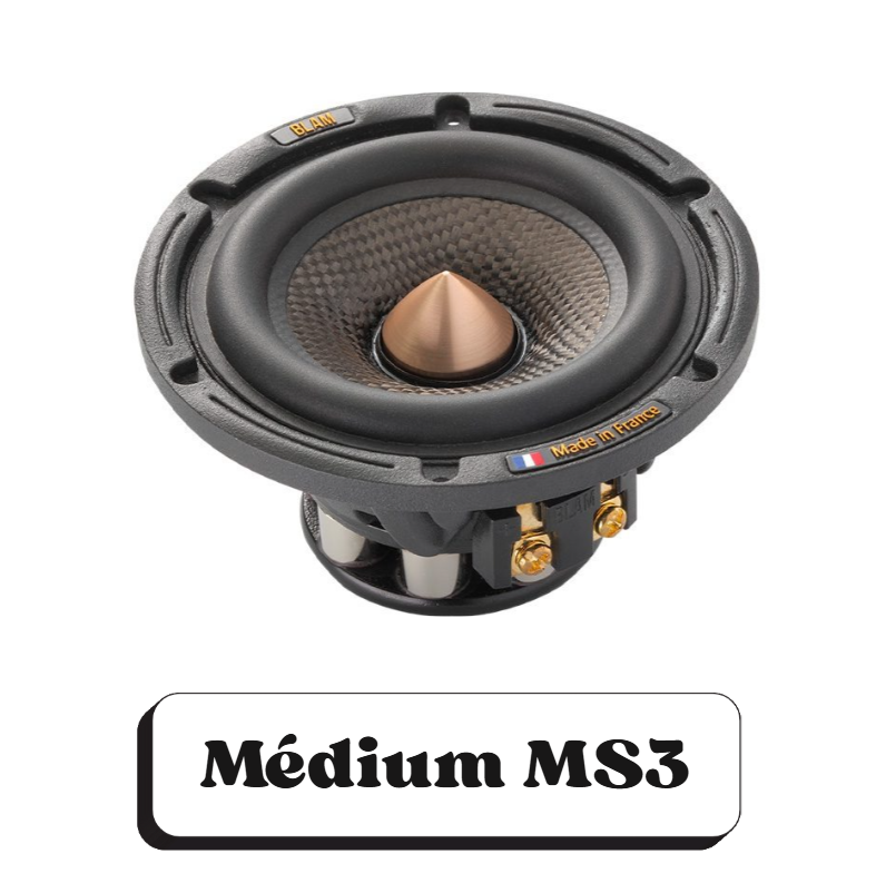 Haut-parleur de type medium MS3 avec étiquette "Made in France".
