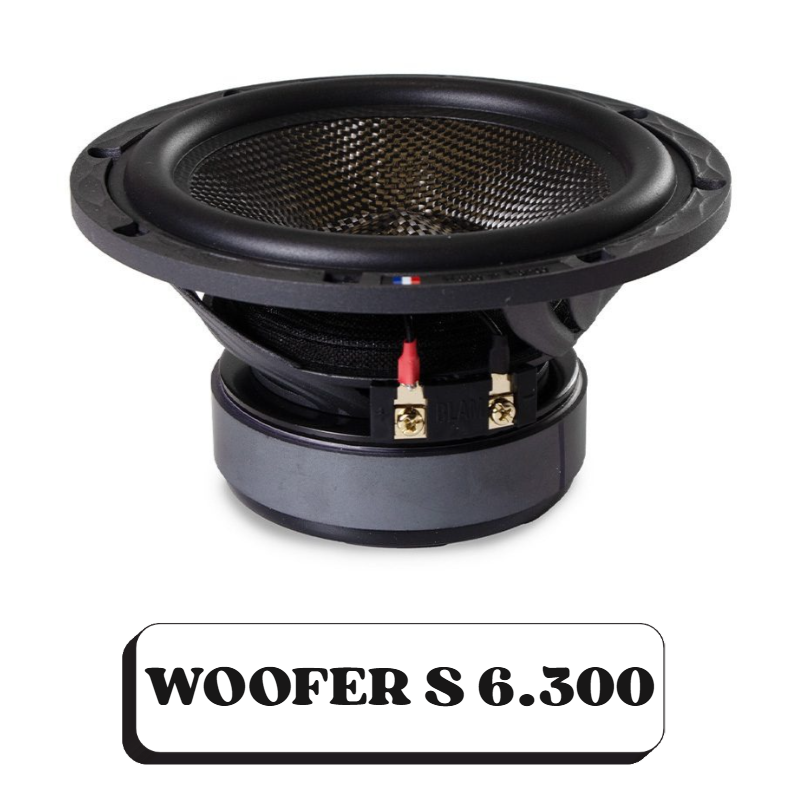 Un haut-parleur subwoofer noir de modèle Woofer S 6.300 avec une membrane en matériau composite et des connexions électriques visibles.