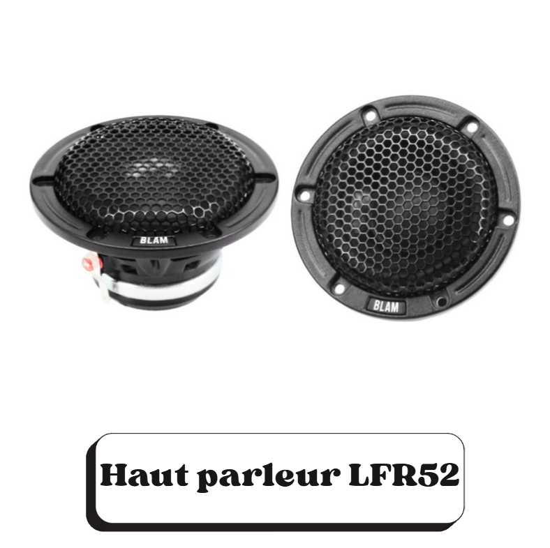 Deux haut-parleurs de la marque BLAM, modèle LRF52.