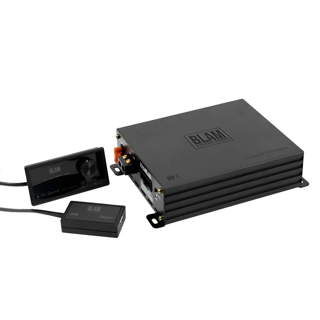 DSP-4.jpg