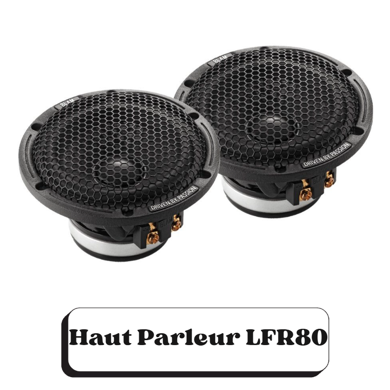 Deux haut-parleurs de voiture LFR80 avec grille en nid d'abeille, indiquant "Driven by Passion".