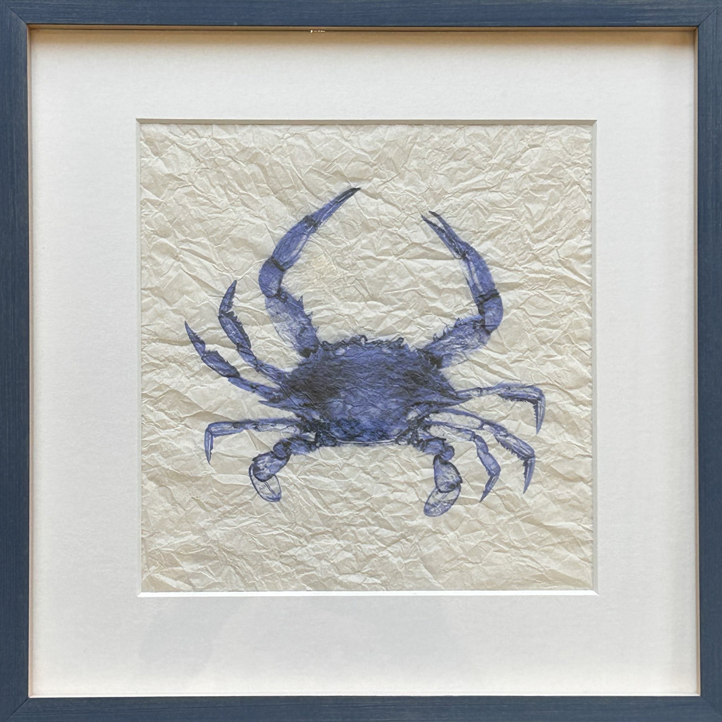 Granchioblu.jpg