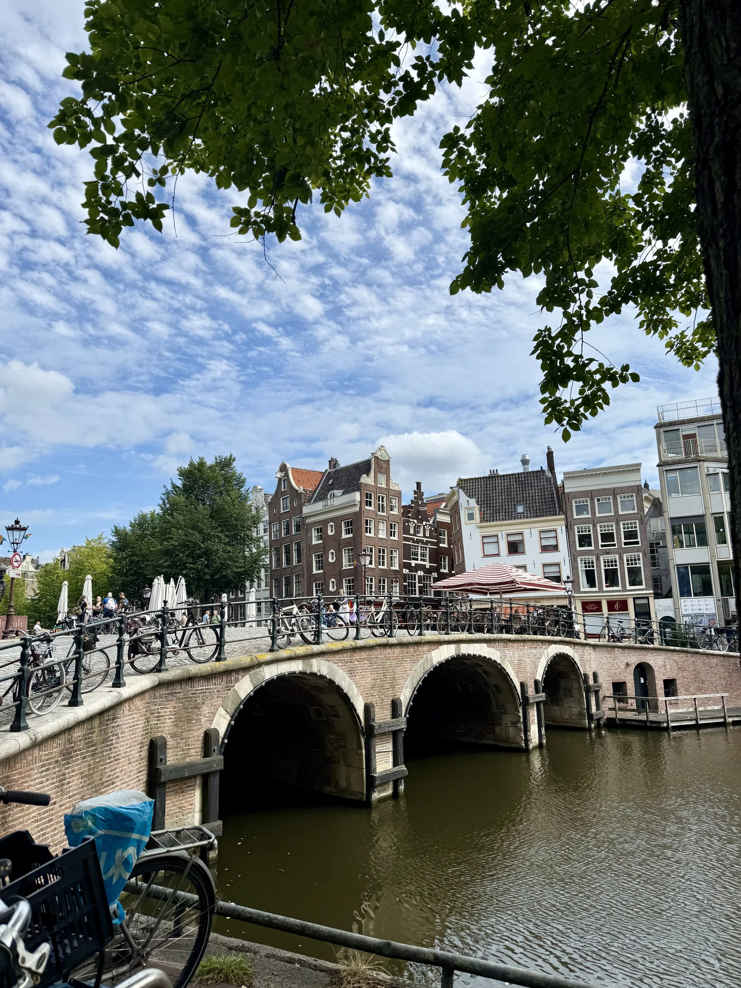 IMG_2834.jpeg