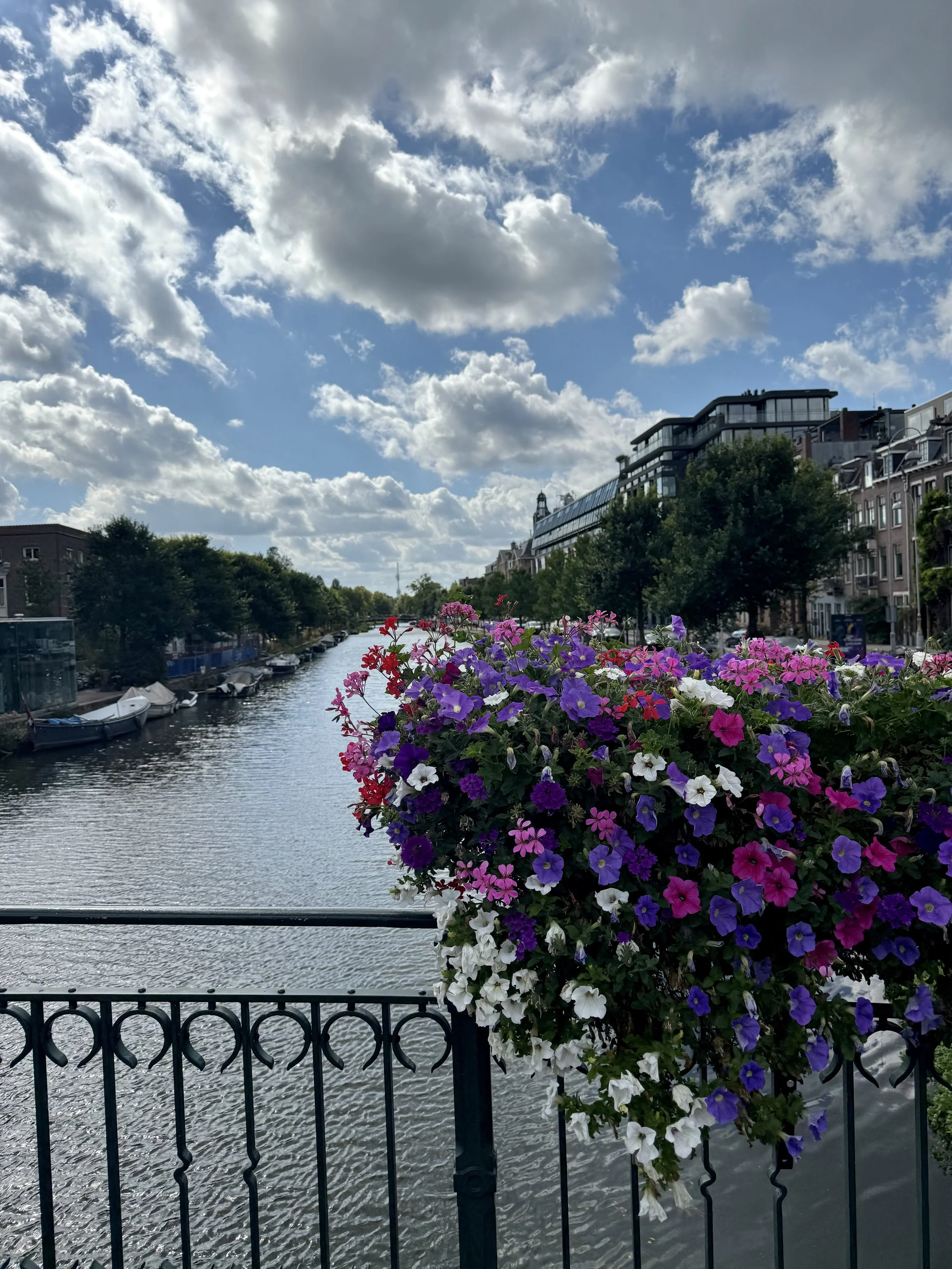 IMG_3176.jpeg