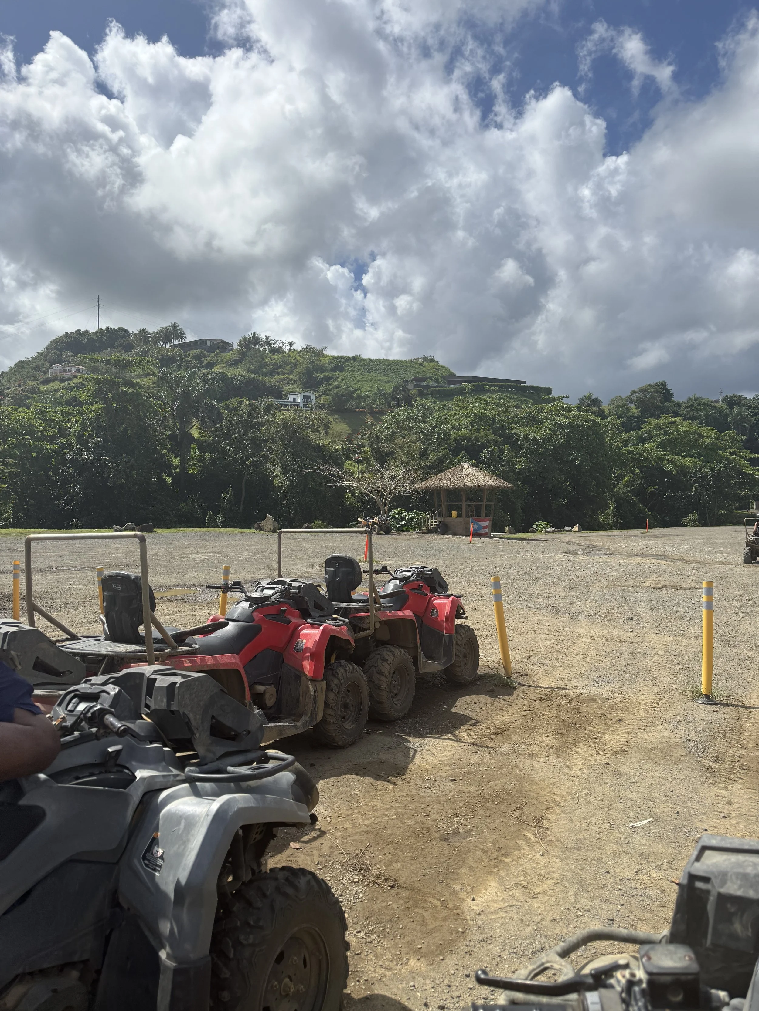 IMG_8832.jpeg