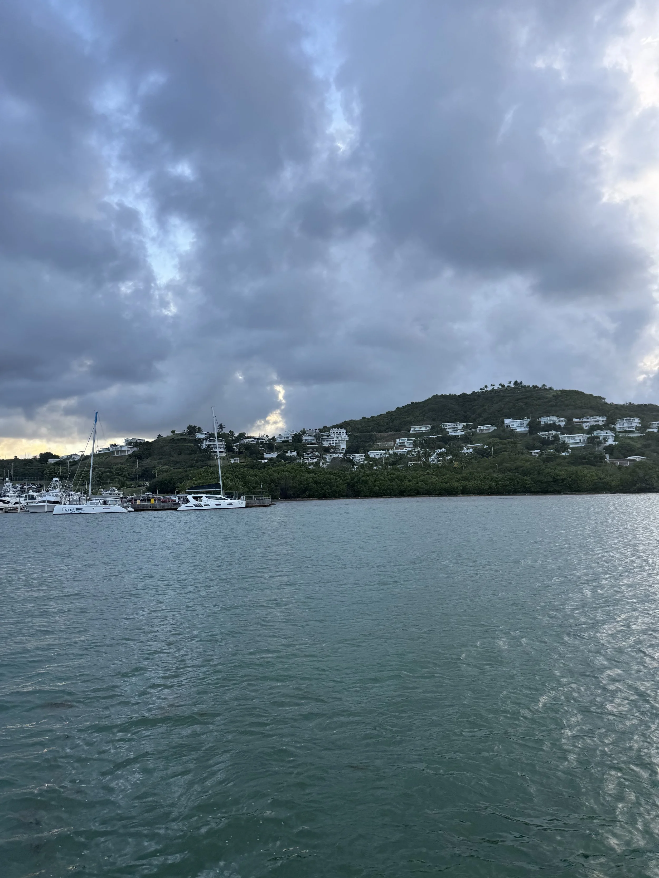 IMG_9023.jpeg