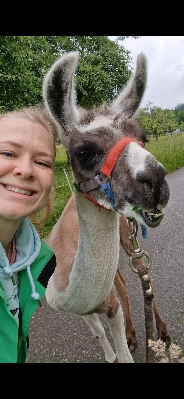 WhatsApp Image 2025-06-04 at 17.43.01.jpeg