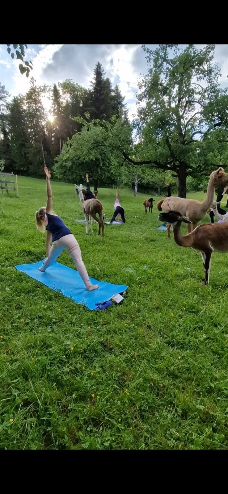 WhatsApp Image 2025-06-04 at 17.33.58 (1).jpeg