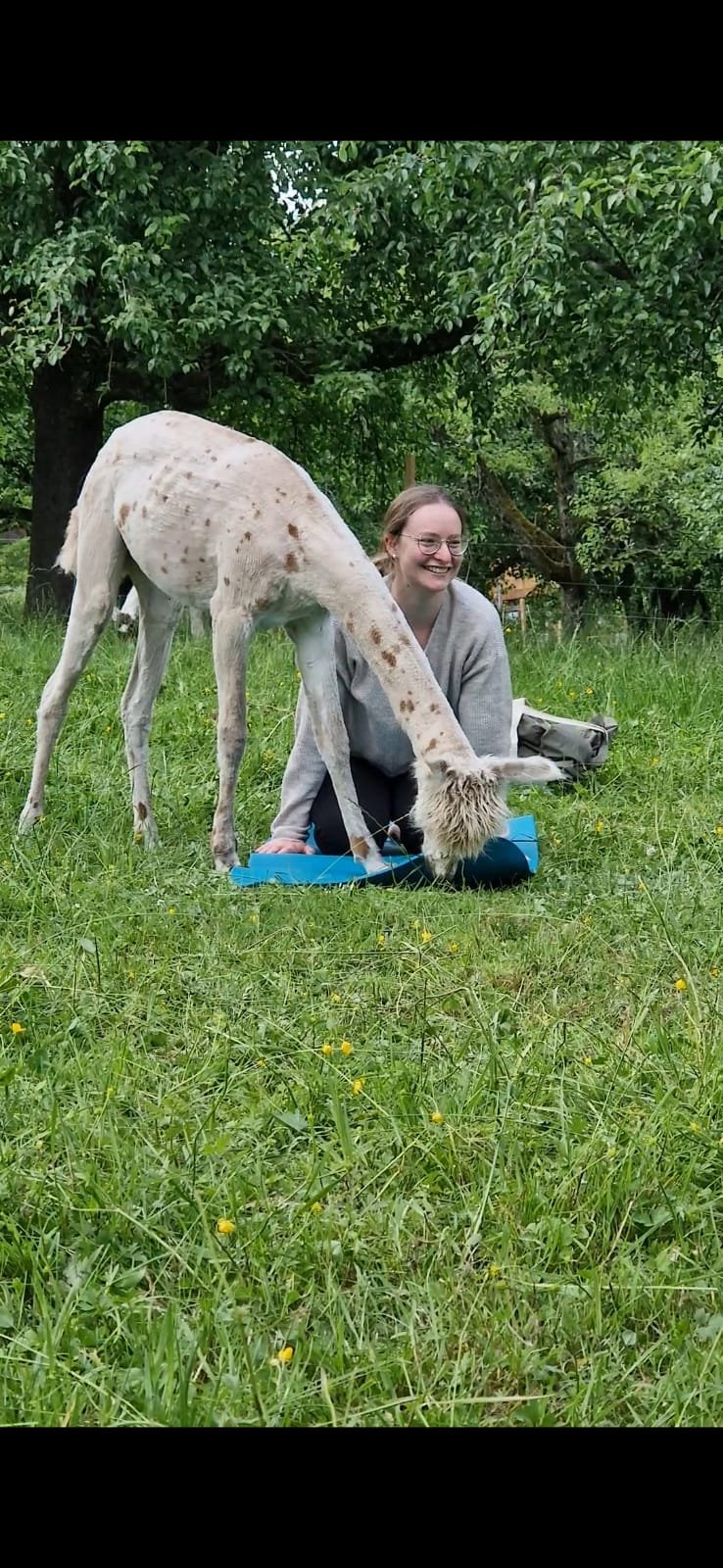 WhatsApp Image 2025-06-04 at 17.33.58.jpeg