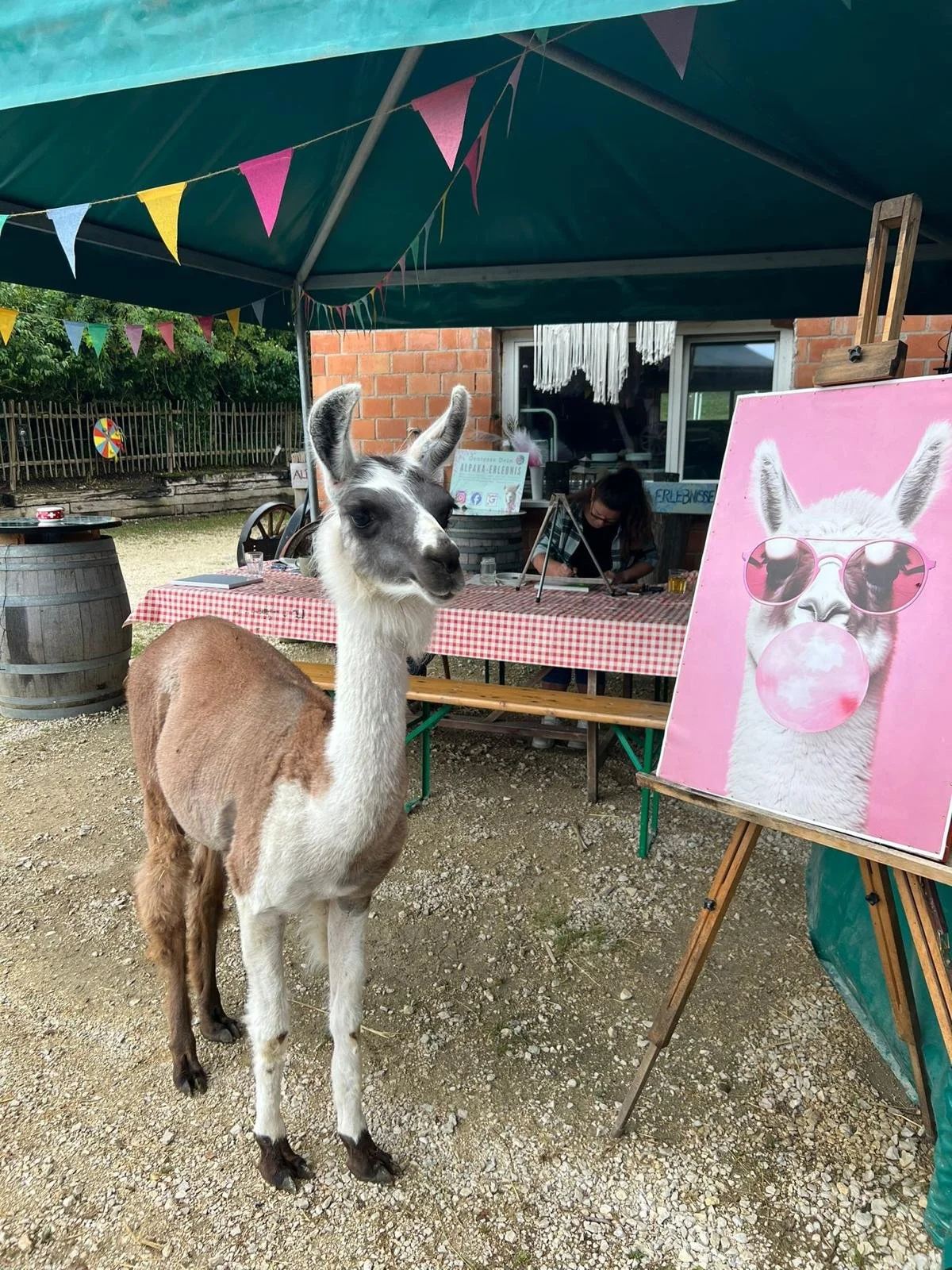 WhatsApp Image 2025-05-26 at 15.05.11.jpeg