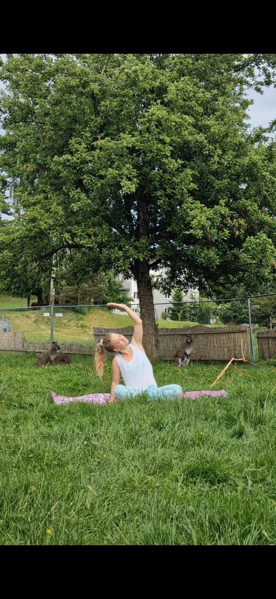 WhatsApp Image 2025-06-04 at 18.09.06.jpeg