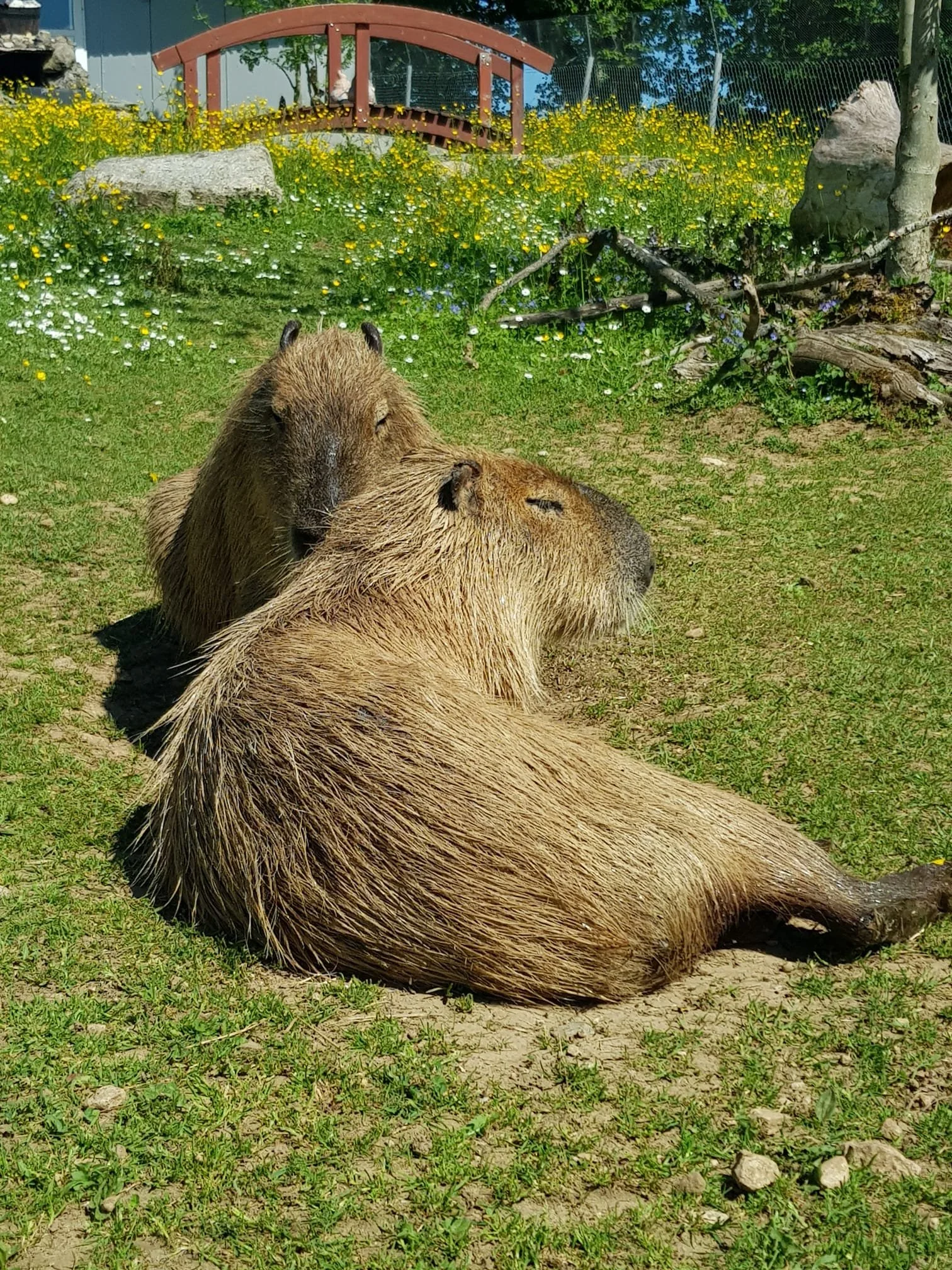 WhatsApp Image 2025-06-04 at 18.44.16 (1).jpeg