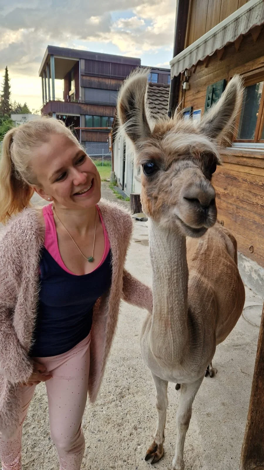 WhatsApp Image 2025-06-04 at 17.40.39.jpeg