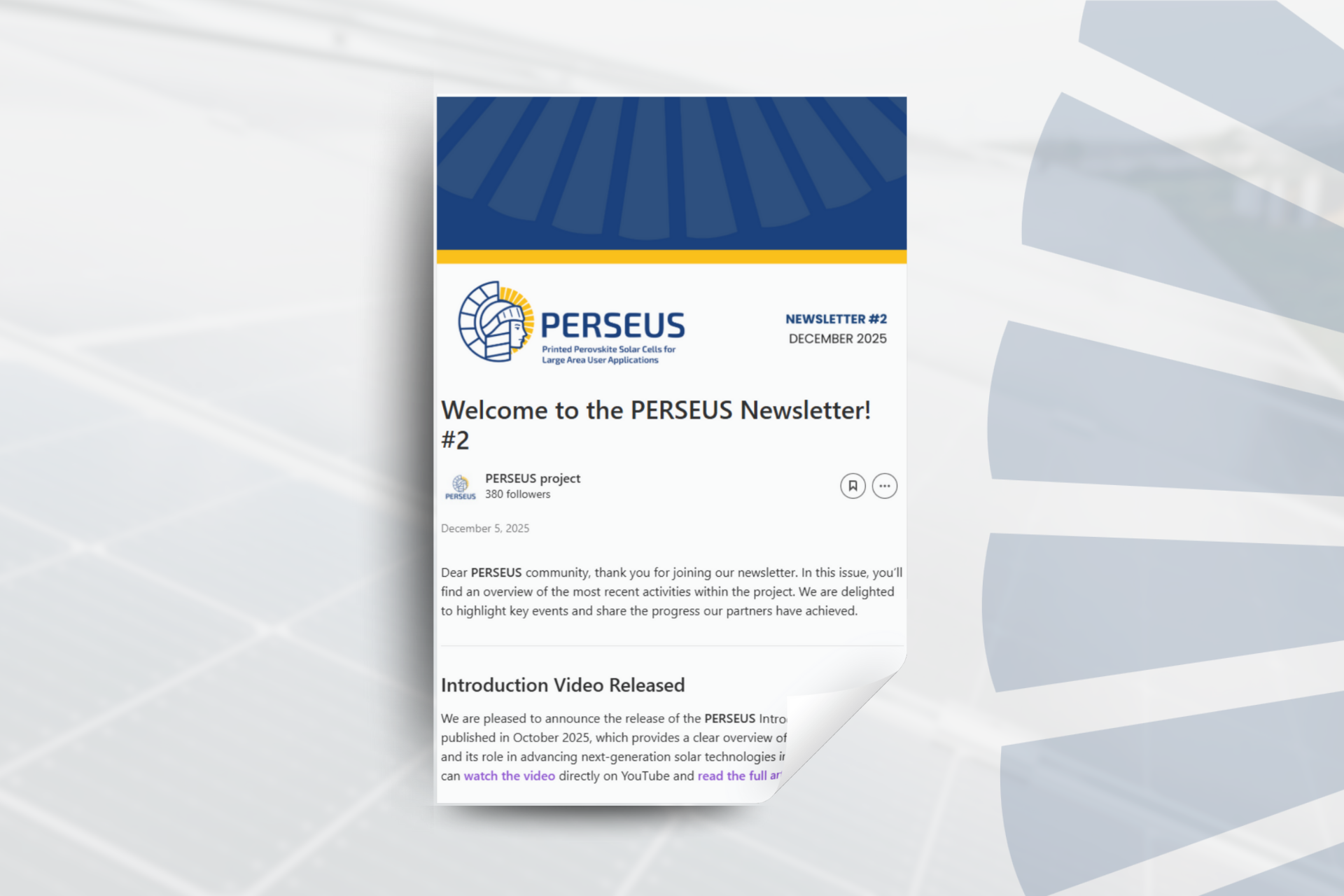 Newsletter #2