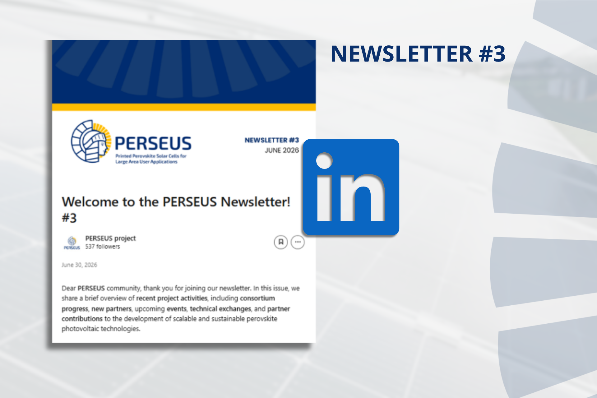 Newsletter #3
