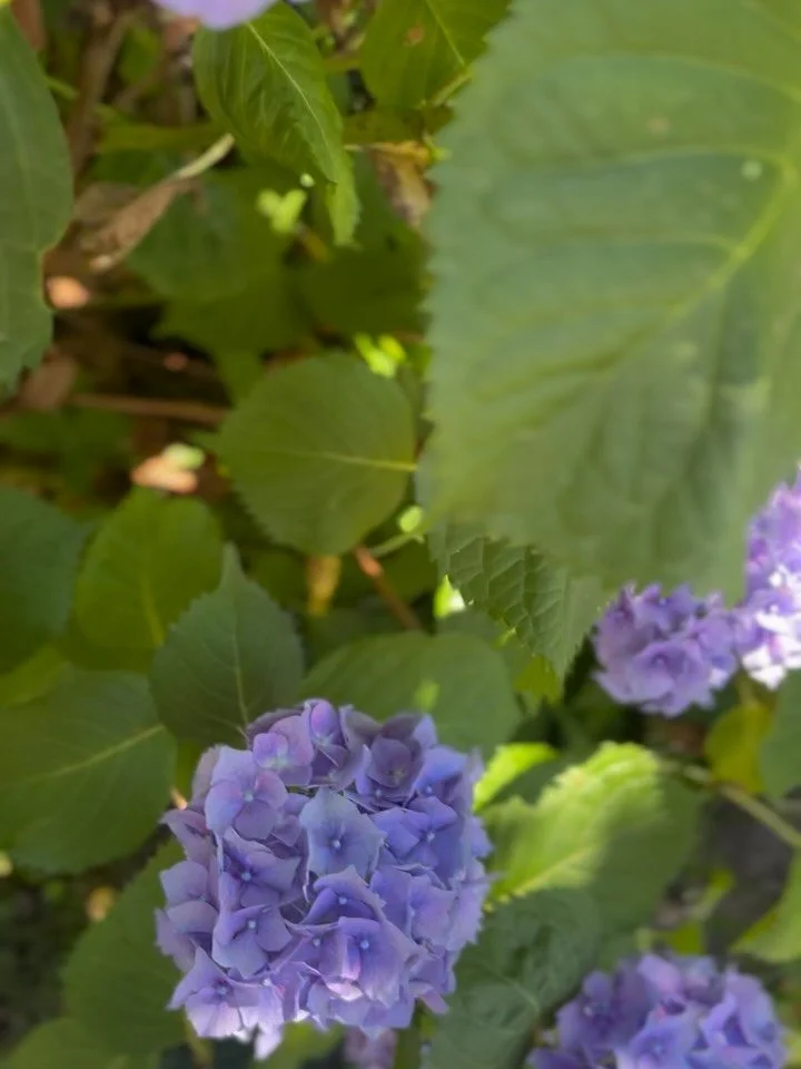 Fumega Fest 2025

M&aacute;s mujeres en el escenario. Eso es lo &uacute;nico que le ped&iacute; a Adri de @playplan_ cuando al final del @fumegafest le asalt&eacute; para darle mi opini&oacute;n no siempre necesaria y nunca solicitada. Producci&oacut