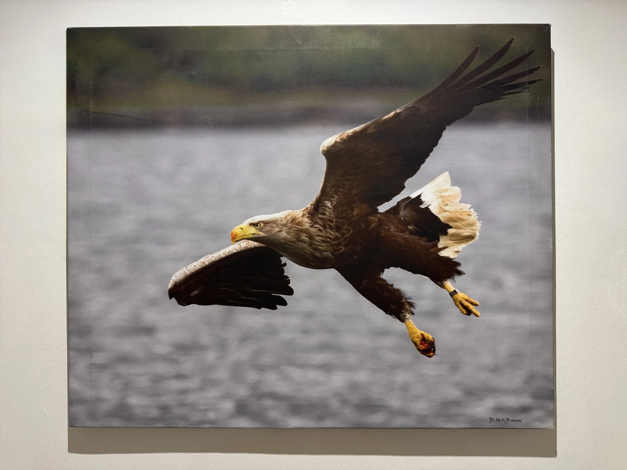 New fundraising scheme for the 2028 Festival