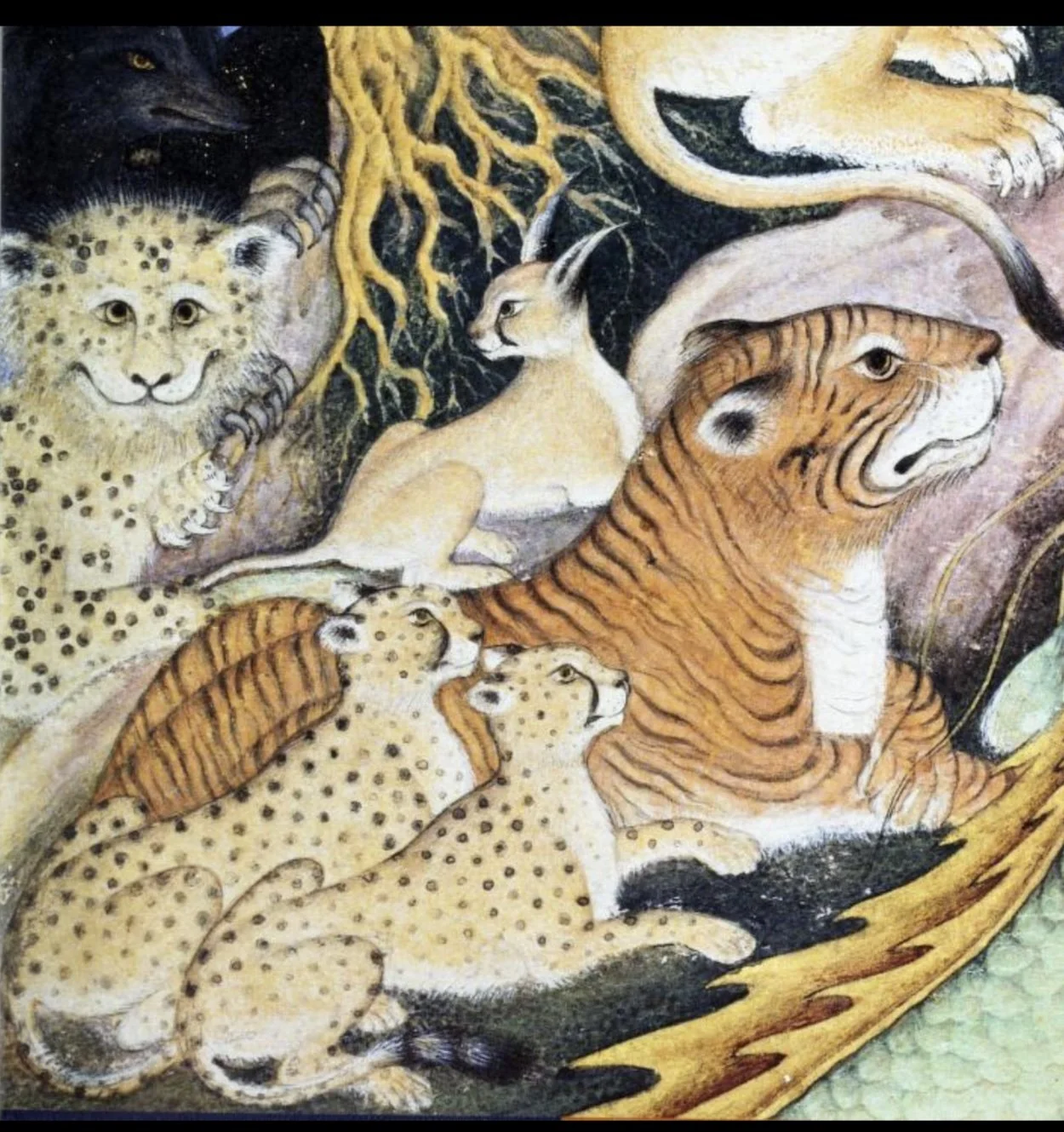 Screenshot 2026-02-20 at 6.57.31 PM.jpg