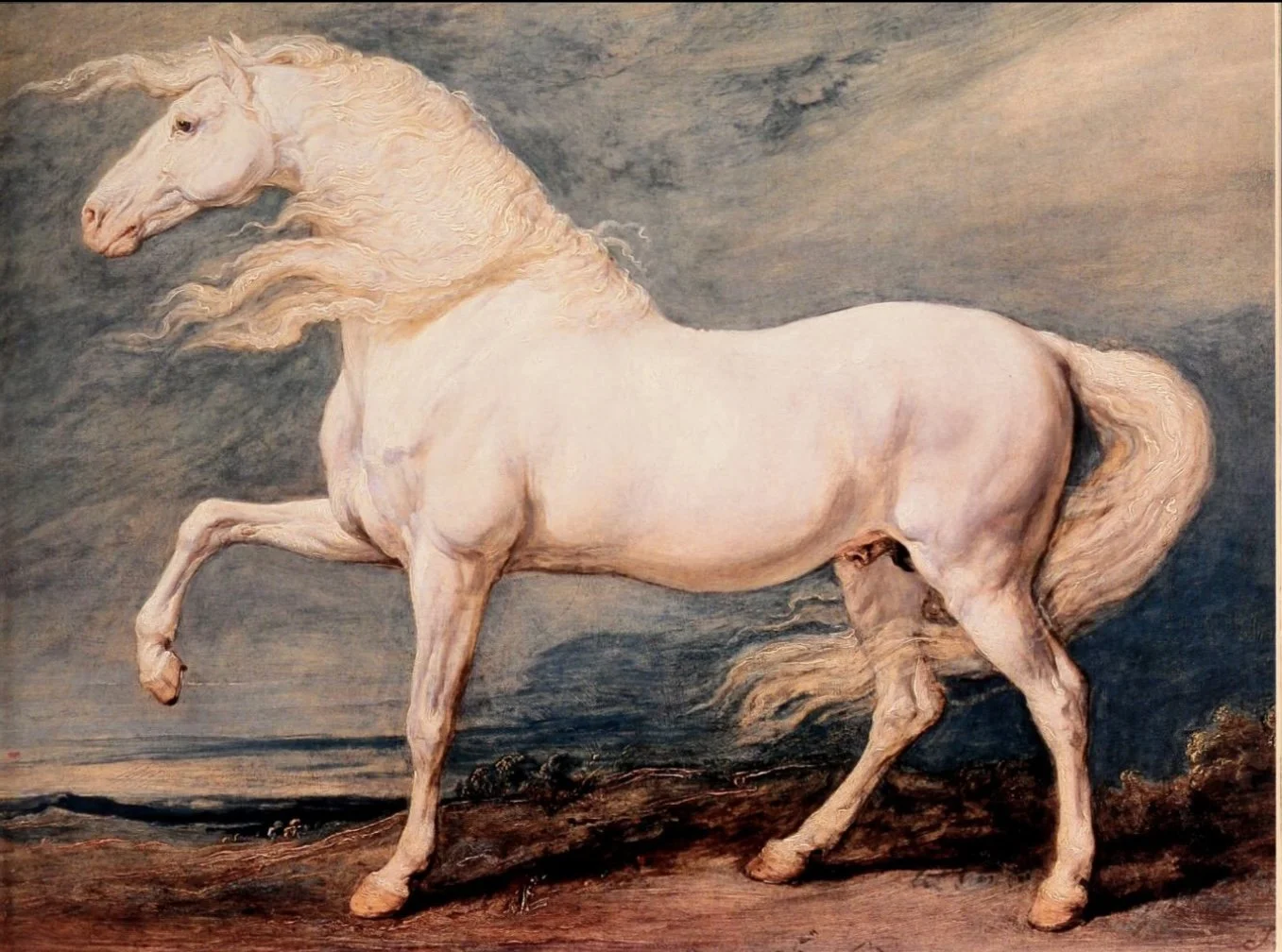 Screenshot 2026-02-20 at 7.32.10 PM 2.jpg