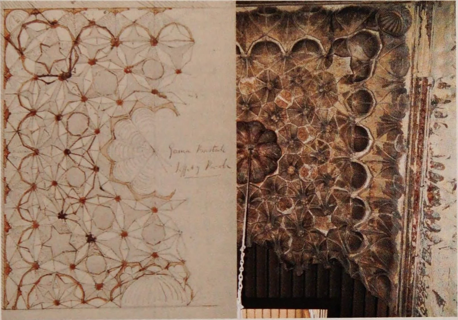 Screenshot 2026-02-20 at 4.04.13 PM.jpg