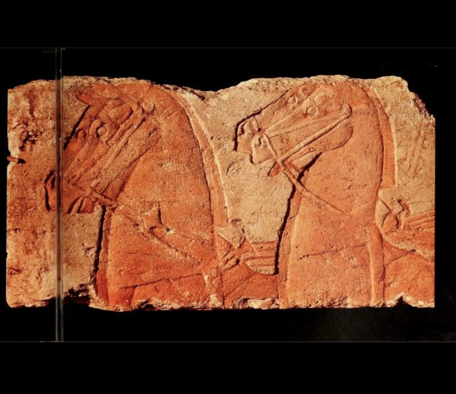 Screenshot 2026-02-20 at 7.28.38 PM 2.jpg