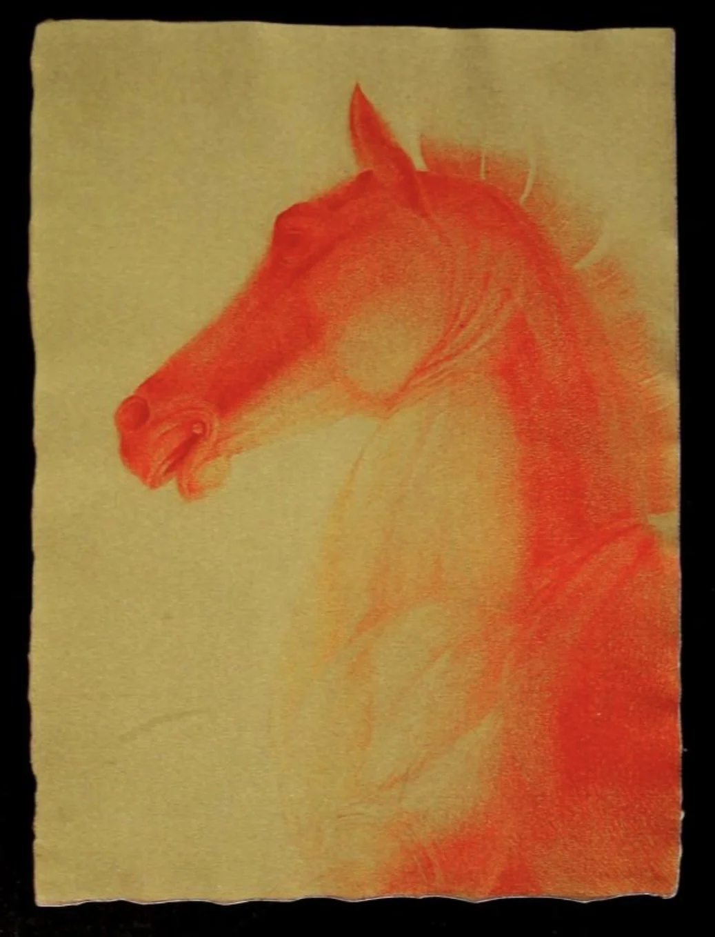 Screenshot 2026-02-20 at 7.31.35 PM 2.jpg