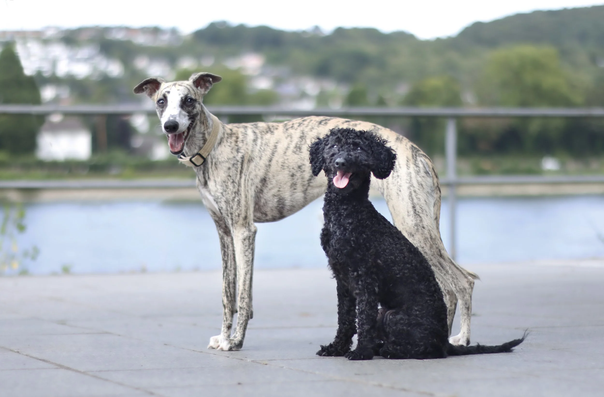 Toby&Yuna.jpg