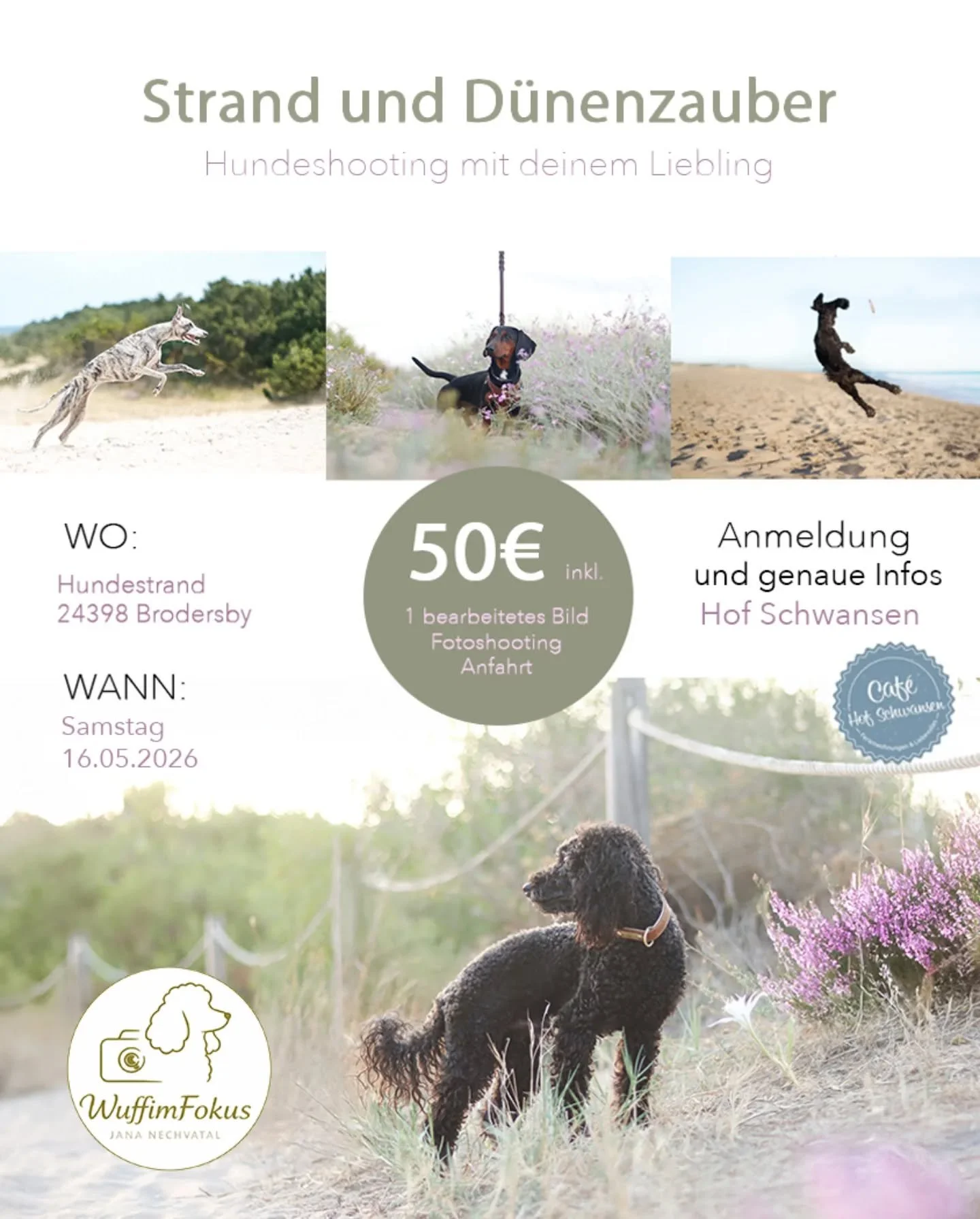 Anmeldung direkt beim @hofschwansen

|Ich bin Jana, Hundefotografin aus Leidenschaft 🐶📸
Hier steht dein Wuff im Fokus &ndash; so einzigartig, wie er ist.
Gemeinsam schaffen wir Erinnerungen voller Liebe, Charakter und echter Emotionen ❤️ 

#hundeli