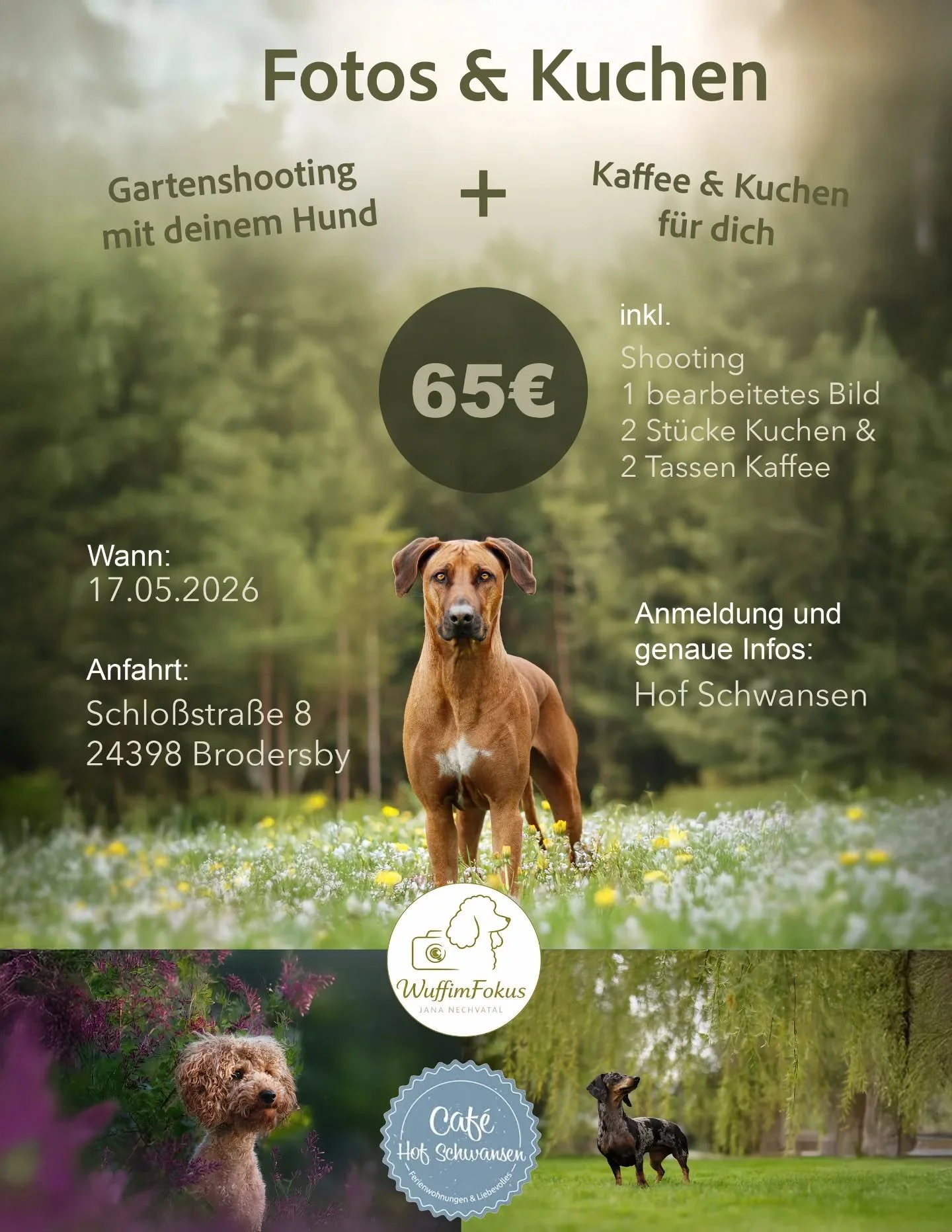 Anmeldung direkt beim @hofschwansen 

|Ich bin Jana, Hundefotografin aus Leidenschaft 🐶📸
Hier steht dein Wuff im Fokus &ndash; so einzigartig, wie er ist.
Gemeinsam schaffen wir Erinnerungen voller Liebe, Charakter und echter Emotionen ❤️ 

#hundel