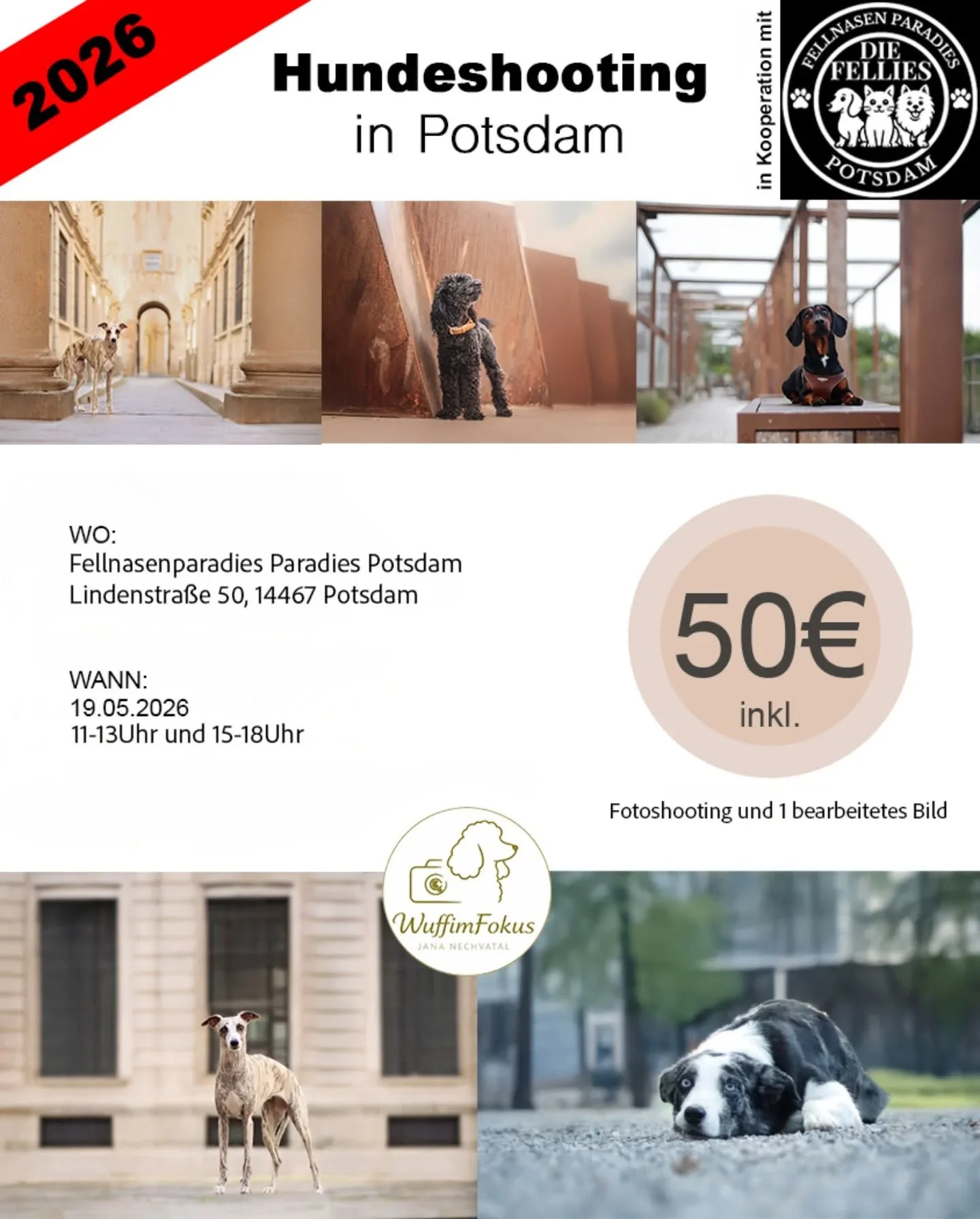 Kommt vorbei ☺️🫶🏼

F&uuml;r Fragen, meldet euch bei WuffimFokus &uuml;ber Instagram oder die Website. 

|Ich bin Jana, Hundefotografin aus Leidenschaft 🐶📸
Hier steht dein Wuff im Fokus &ndash; so einzigartig, wie er ist.
Gemeinsam schaffen wir Er