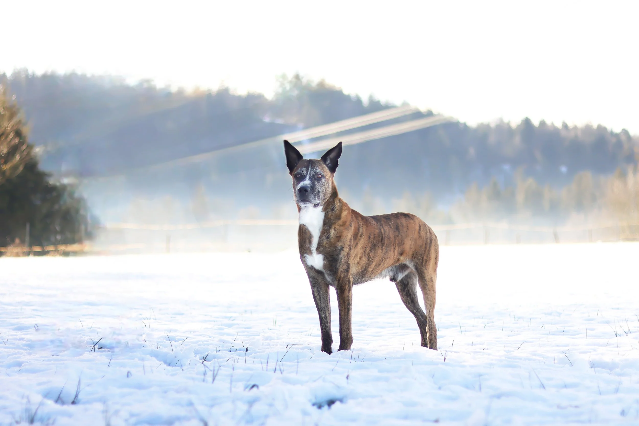 Milow1.jpg