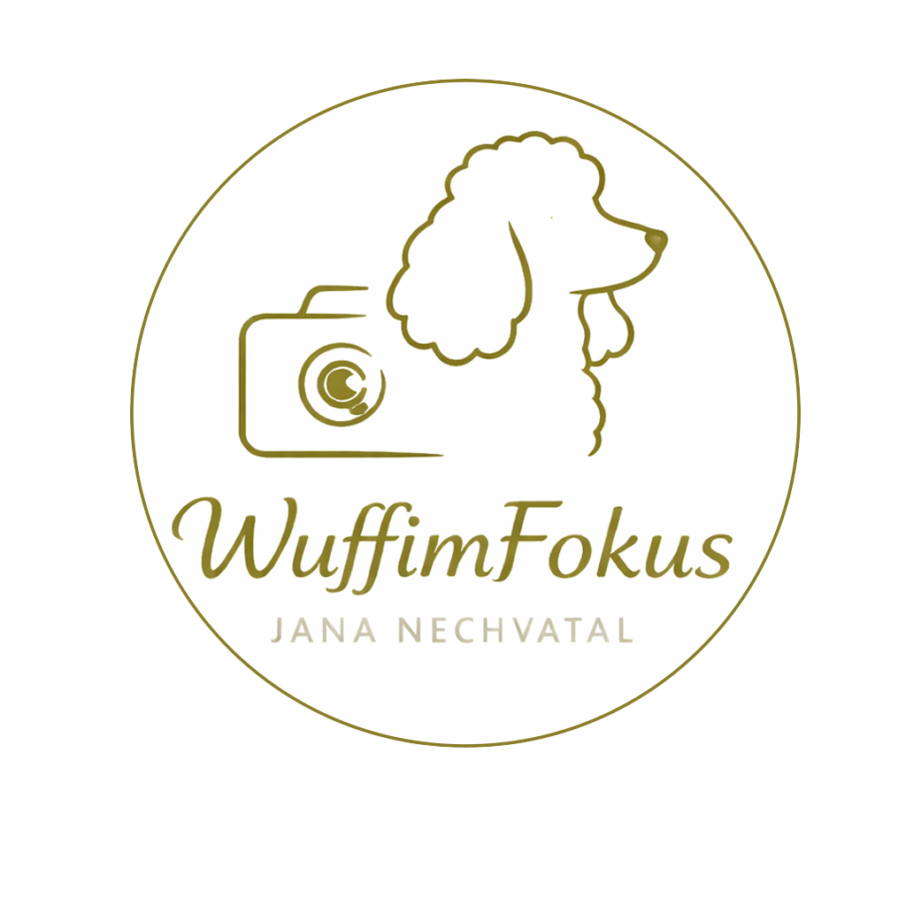 Wuff im Fokus