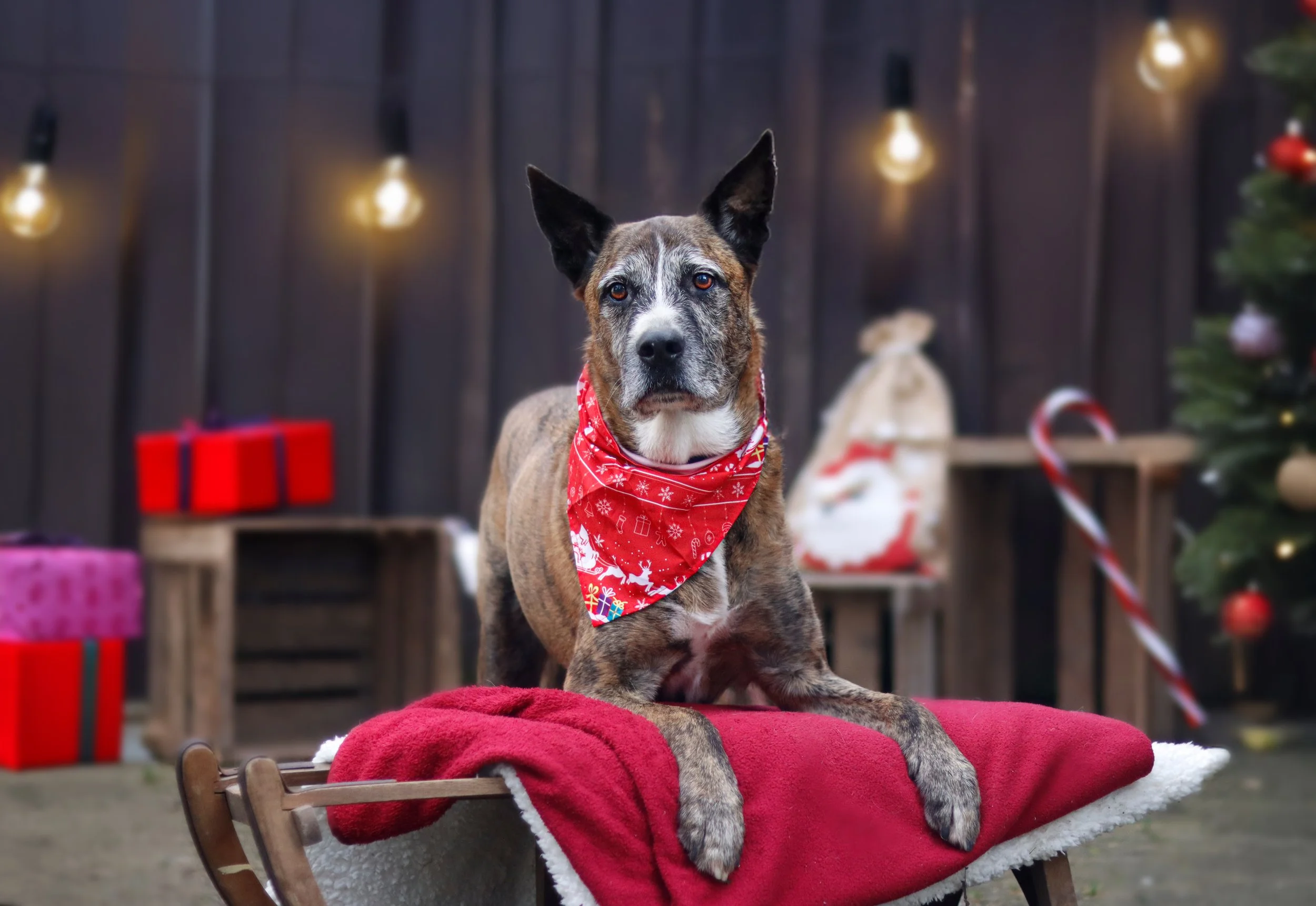(vermittelt) Milow TH Karbach