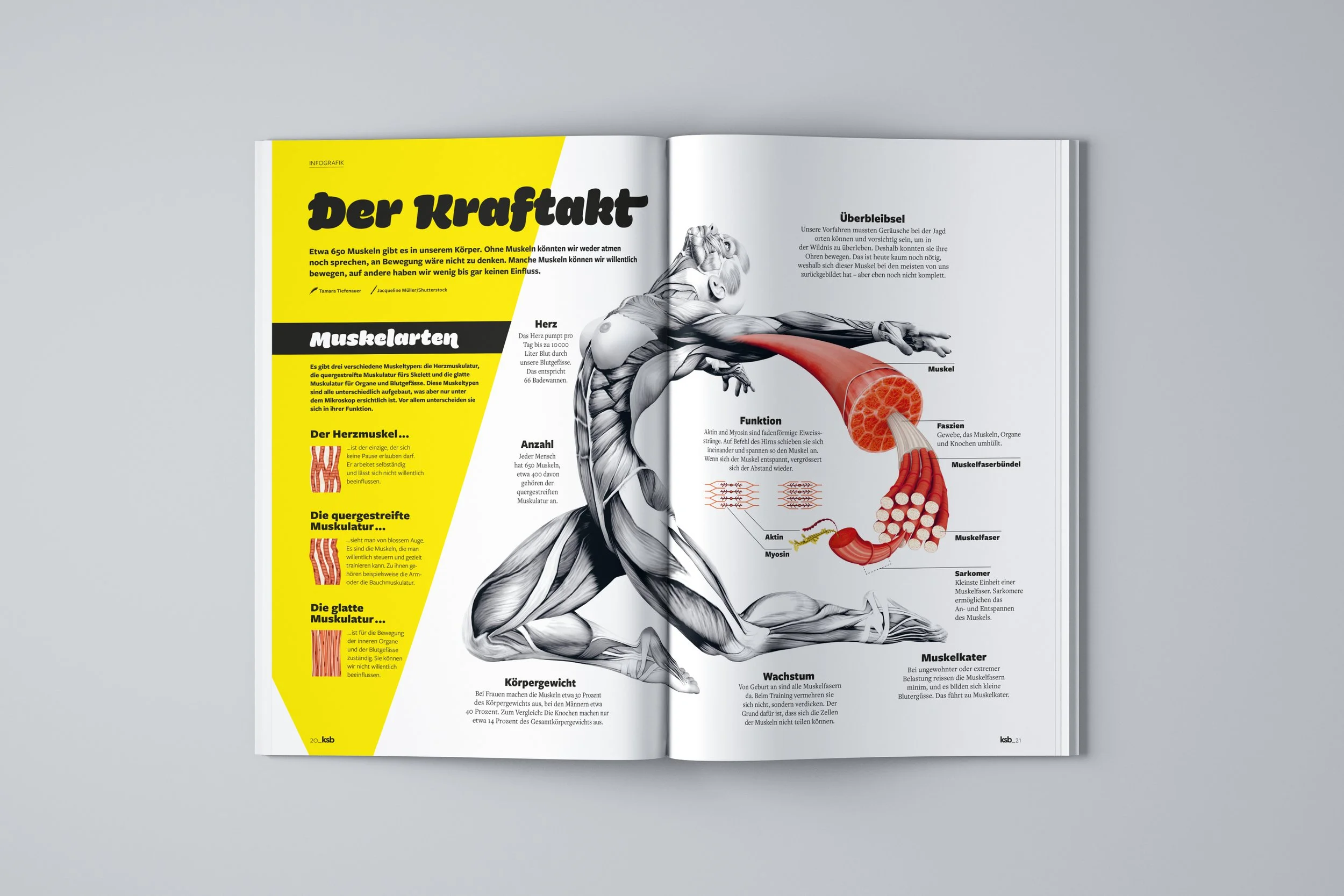 KSB_2-21_Infografik.jpg