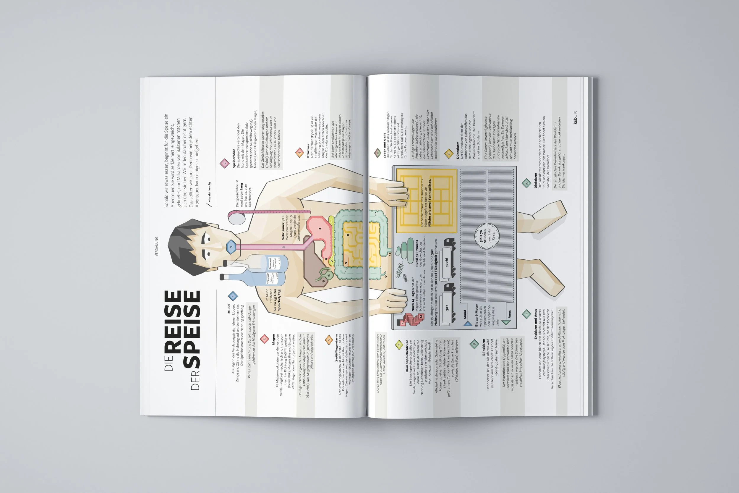 KSB_1-19_Infografik.jpg