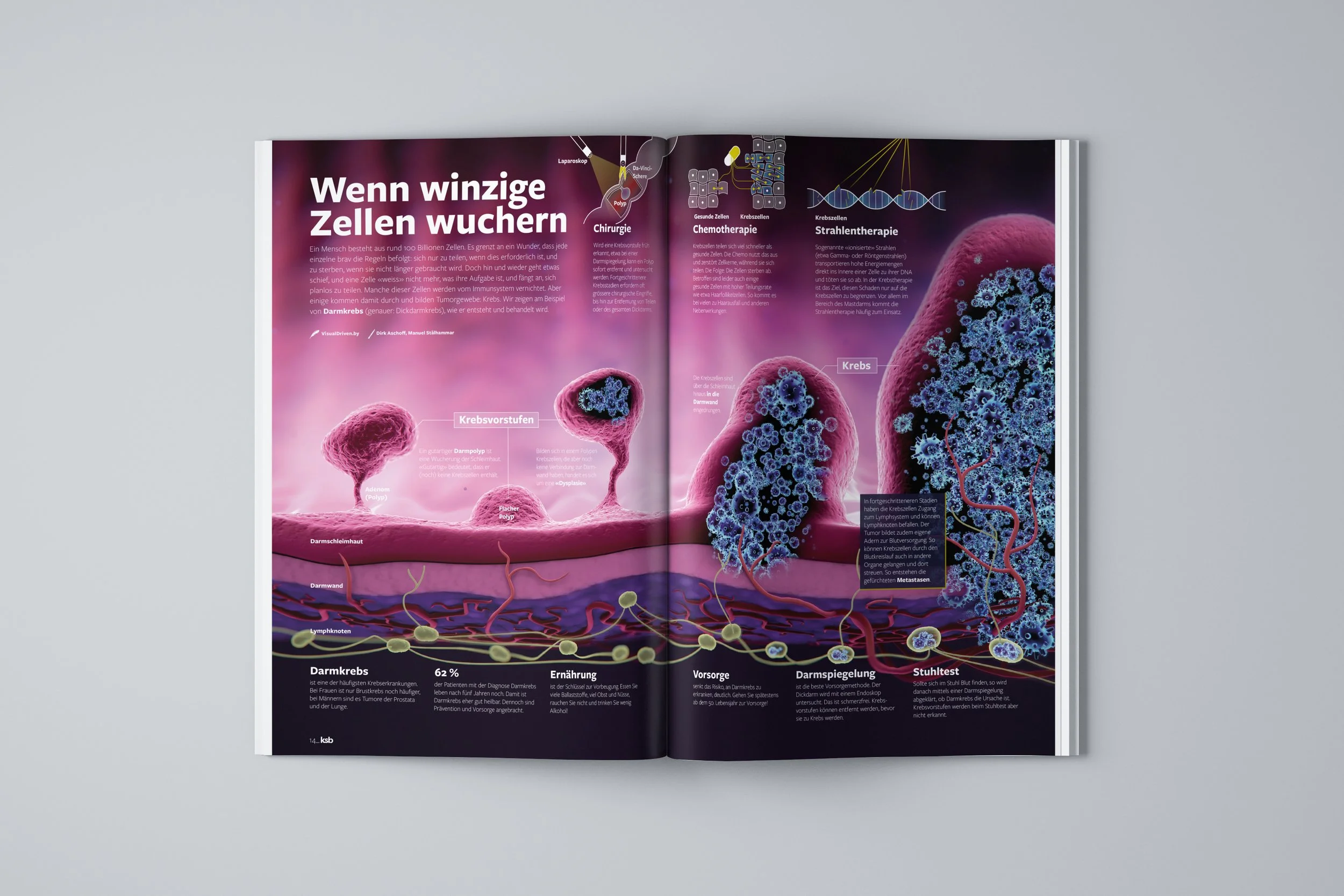 KSB_3-19_Infografik.jpg