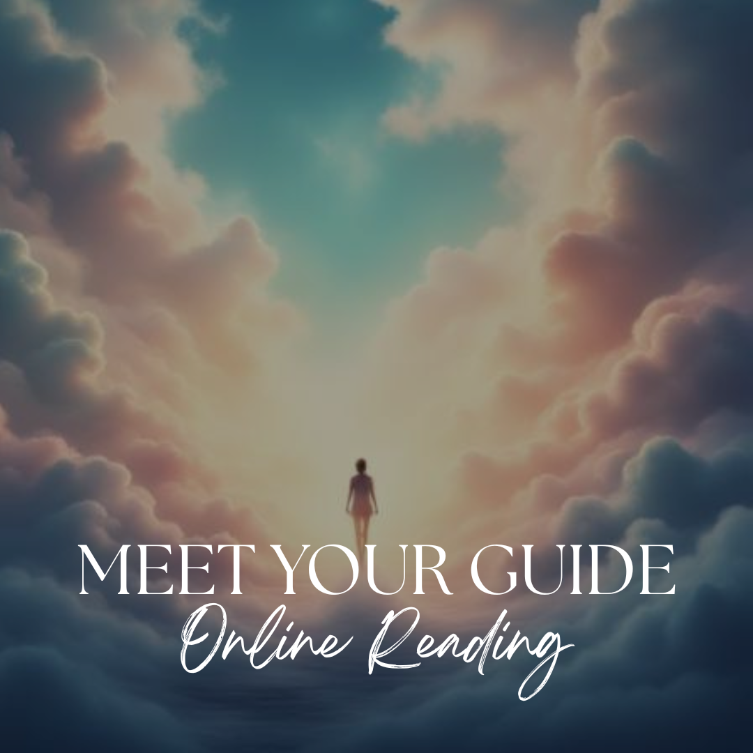 Meet your Guide (Online)