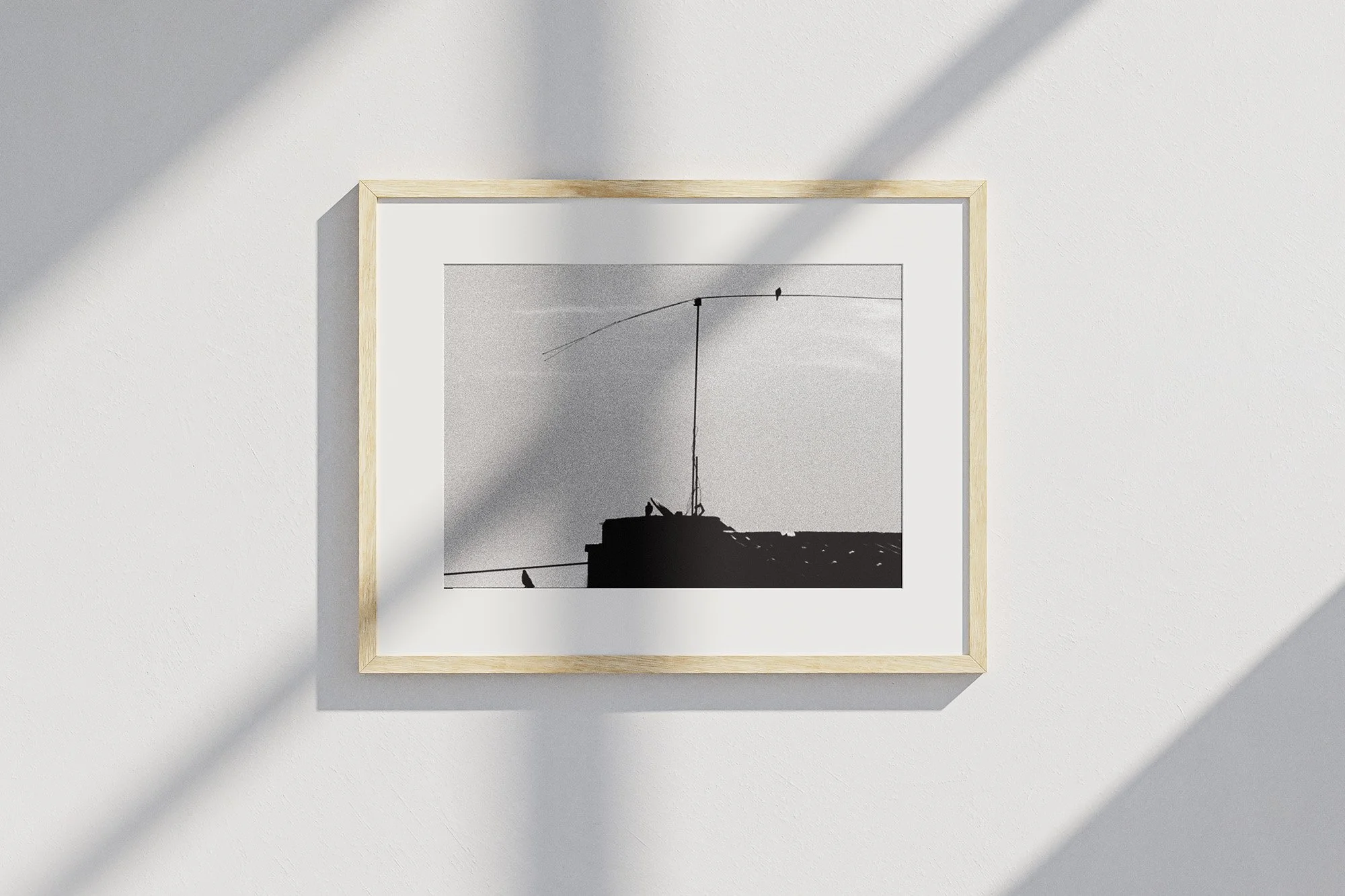 l-oiseau-sur-le-fil_mockup.jpg