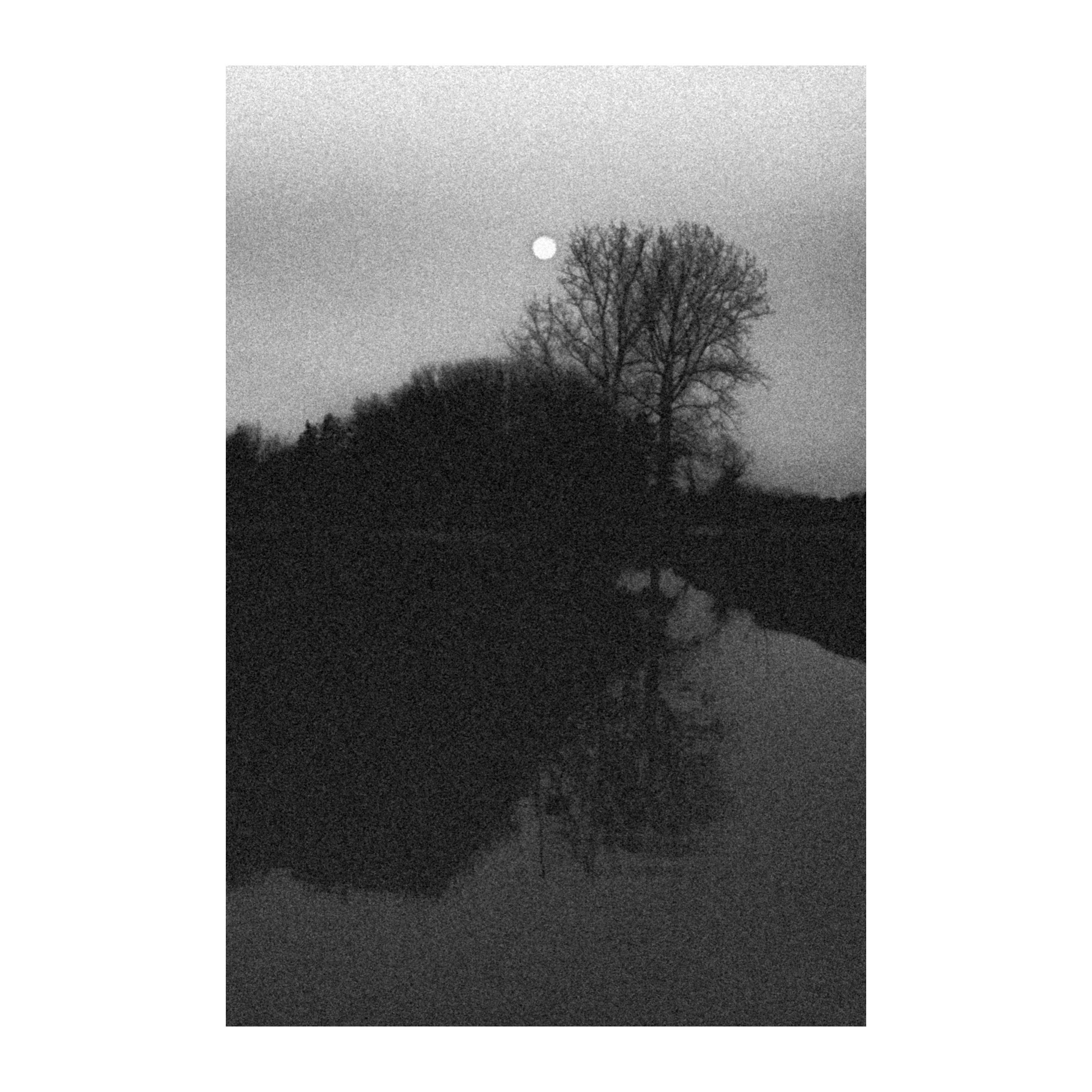 lune-sur-l-etang_encadre.jpg