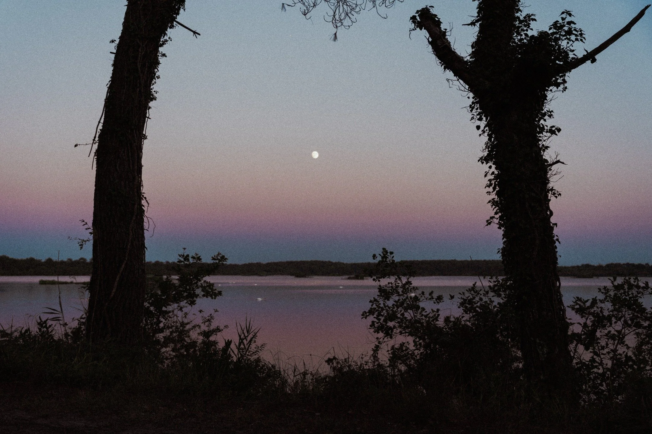 When it feels unreal, it should look it 🌘