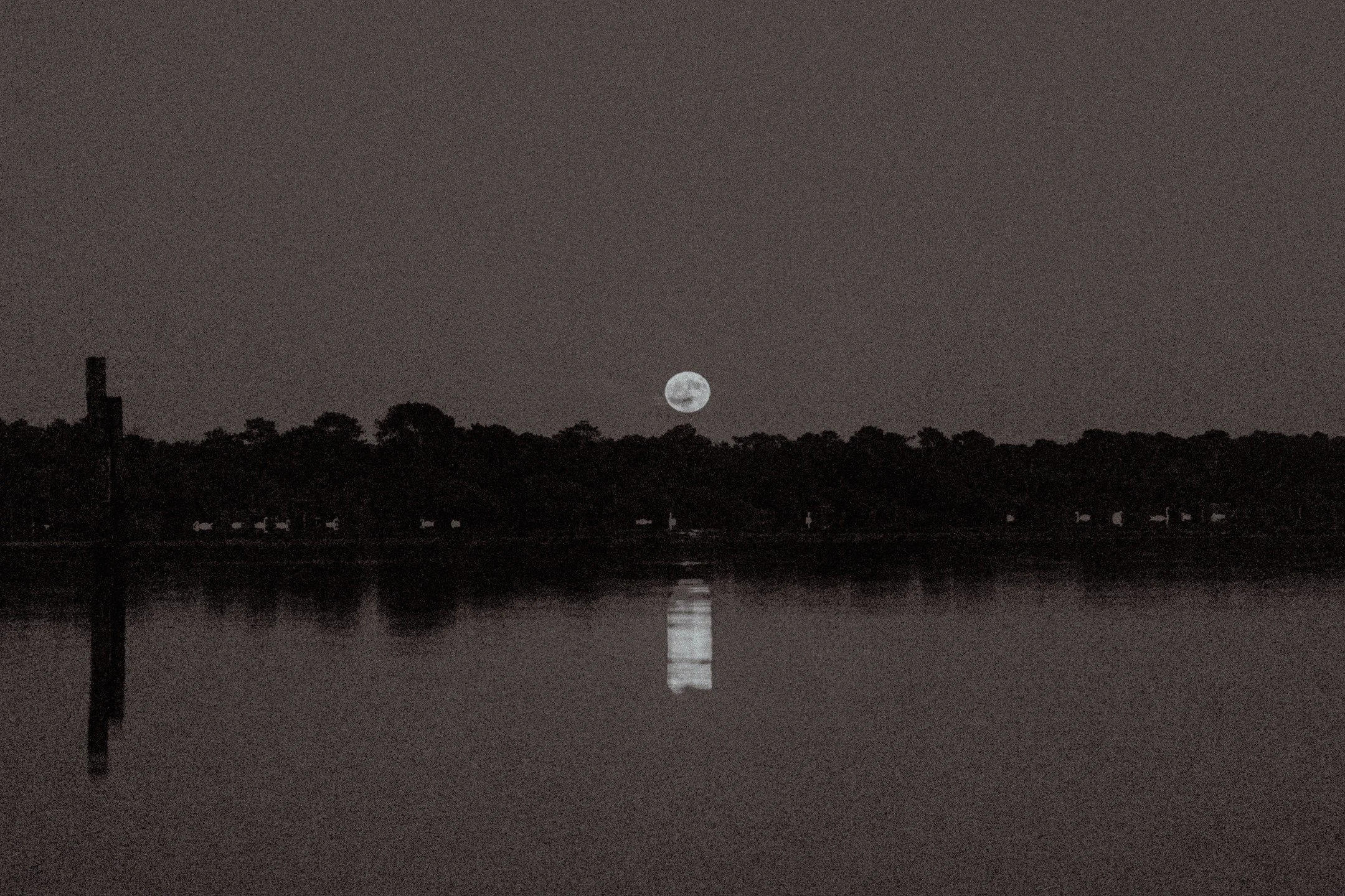 Shocked by the moon's magic lately