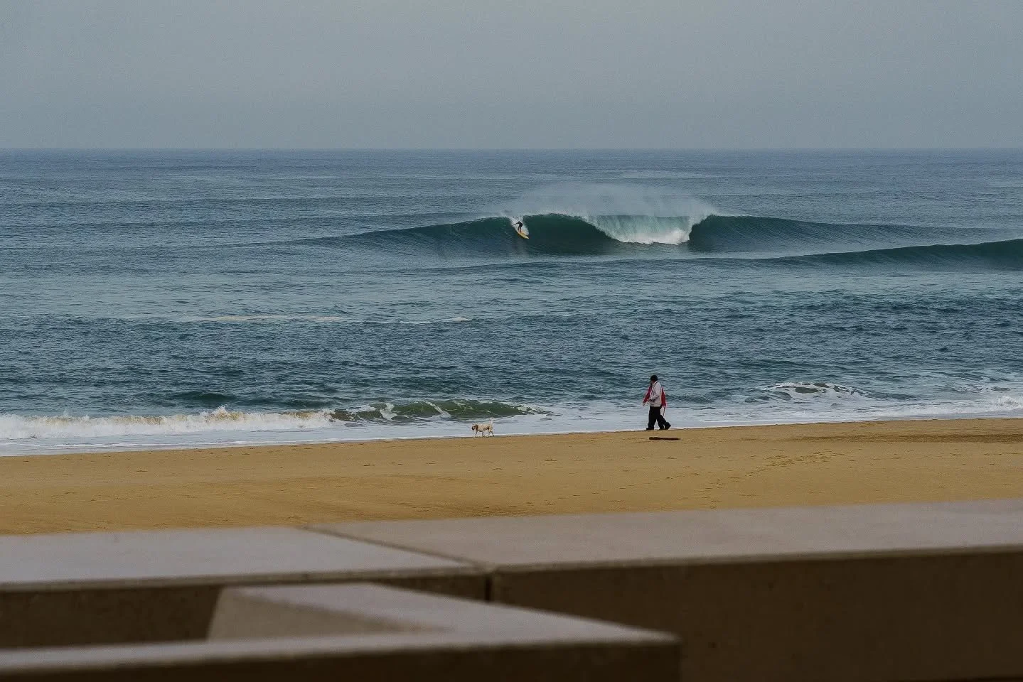 Quelques souvenirs de La Nord hier avant d'aller surfer ❤️