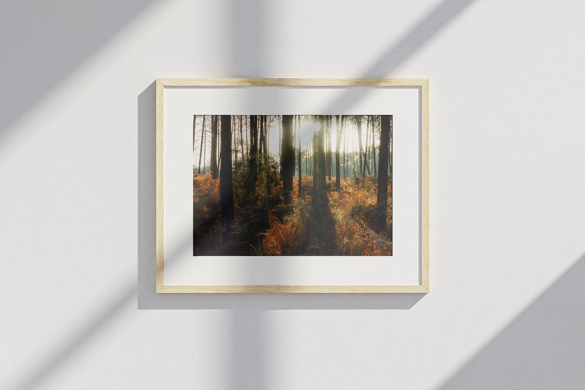 contre-jour-d-automne_mockup.jpg