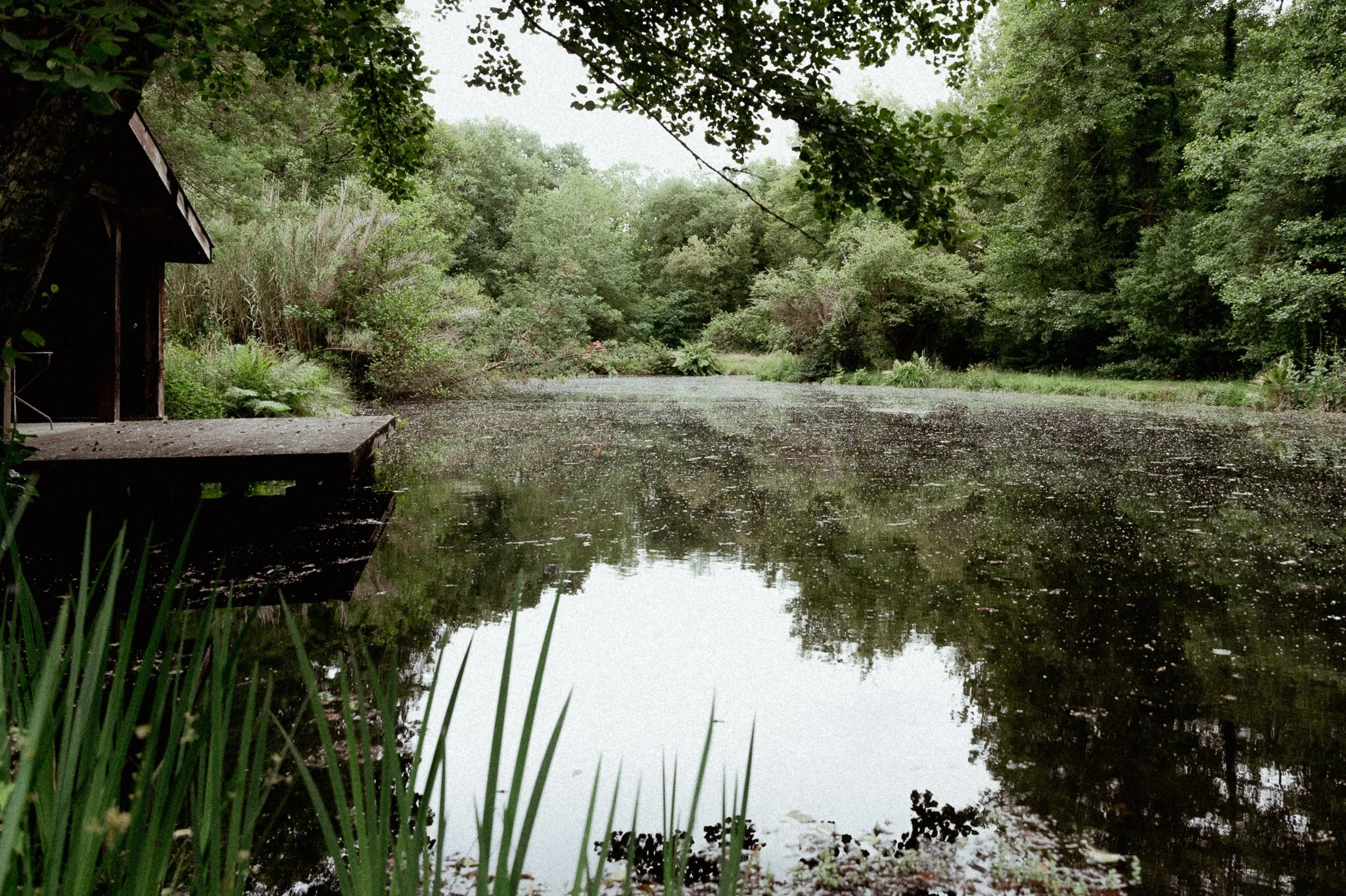photographe-mariage-soustons-etang-foret-lieu-reception.jpg