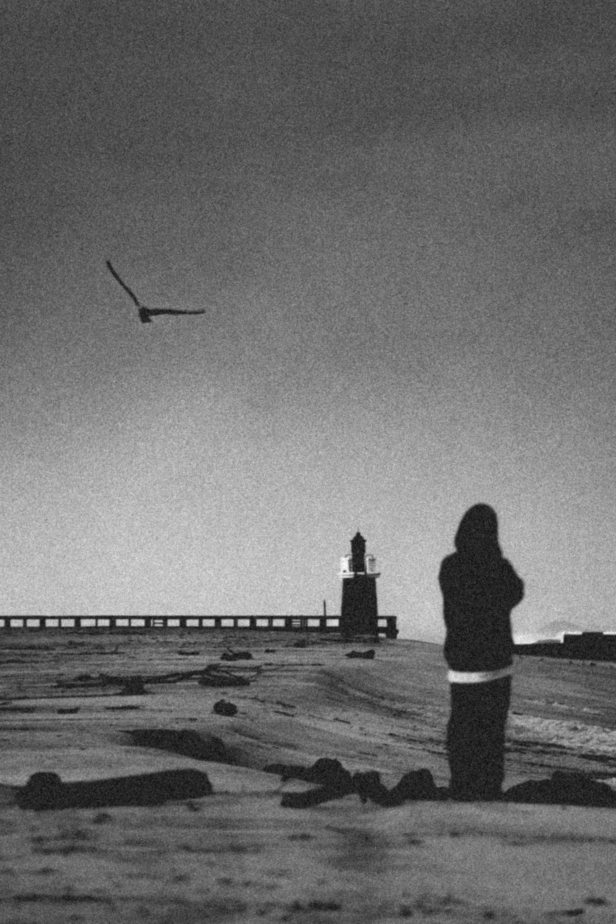 Hoodie, Birdie, Lighty B&W — Tirage d'art