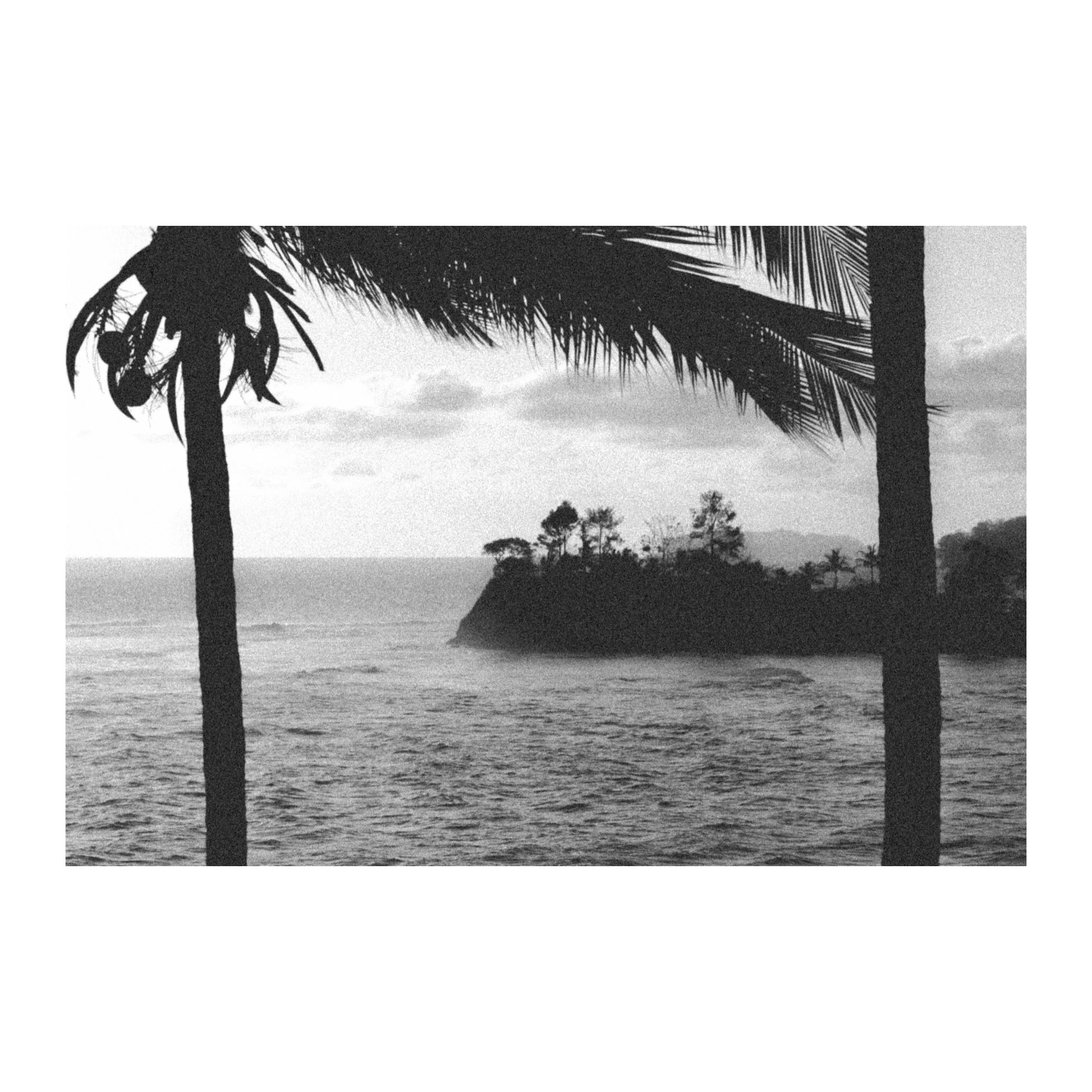 Treedow to freedom B&W — Tirage d'art