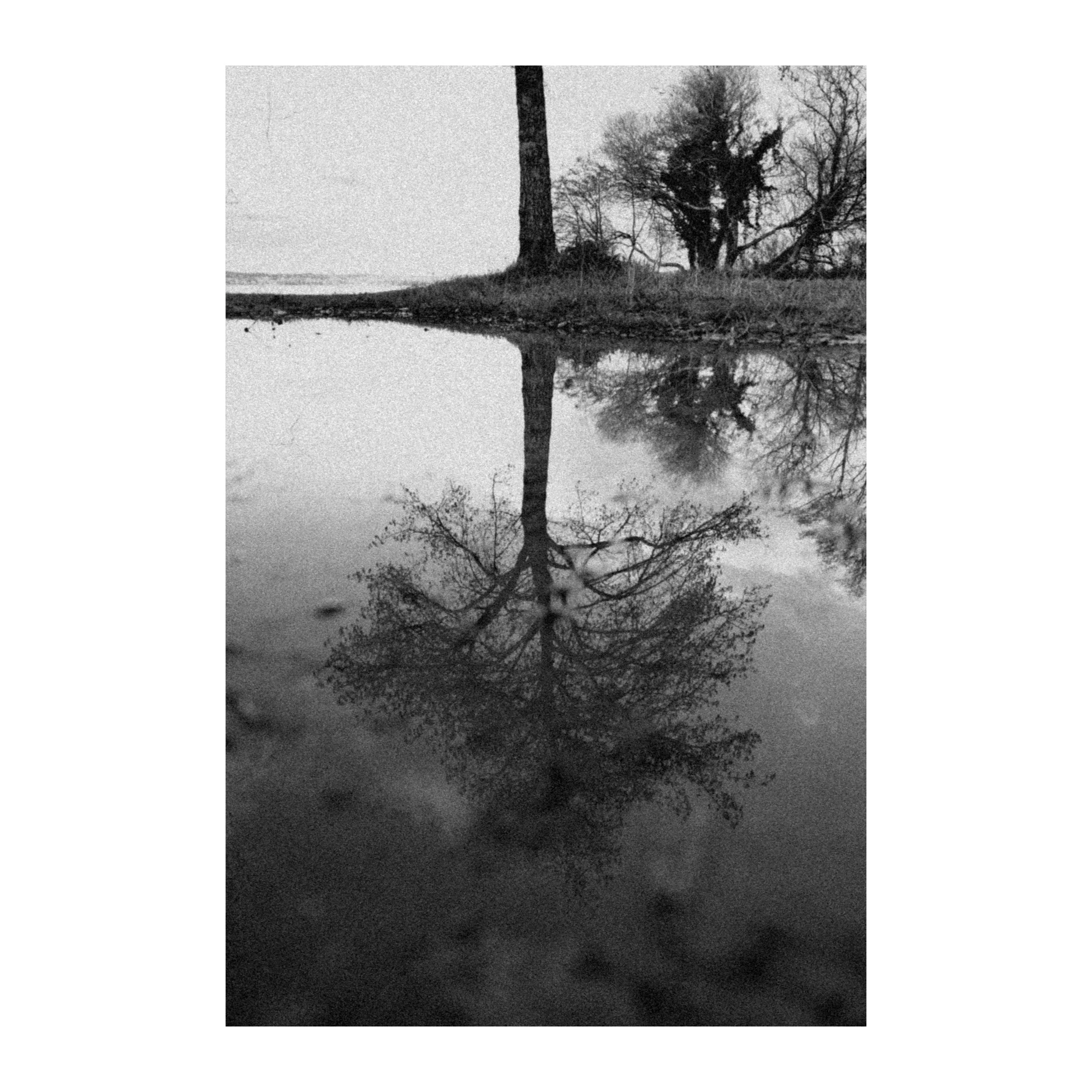 reflets-d-hiver_encadre.jpg